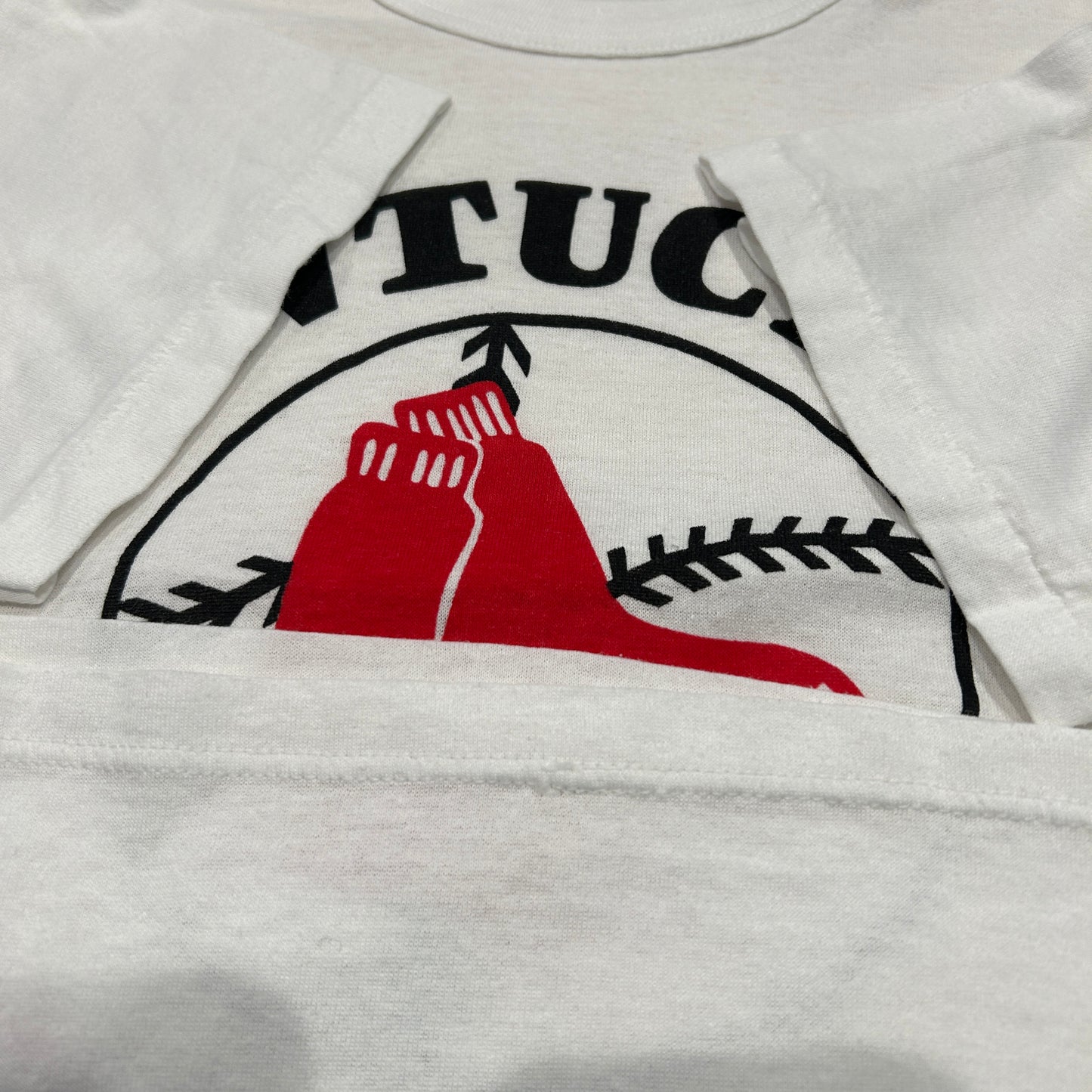 80's champion チャンピオン "PAWTUCKET Rad Sox" Tシャツ (L)/A7286T-SO