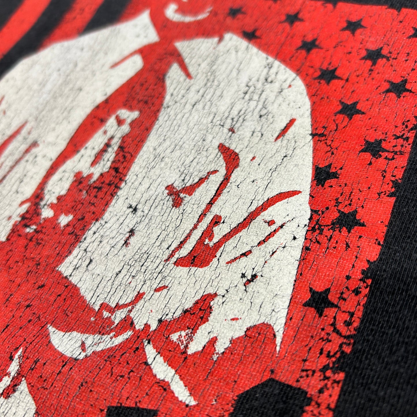 00's BAD RELIGION"The Empire Strikes first"Tシャツ アルバムアートワーク 黒(L)/A7309T-SO