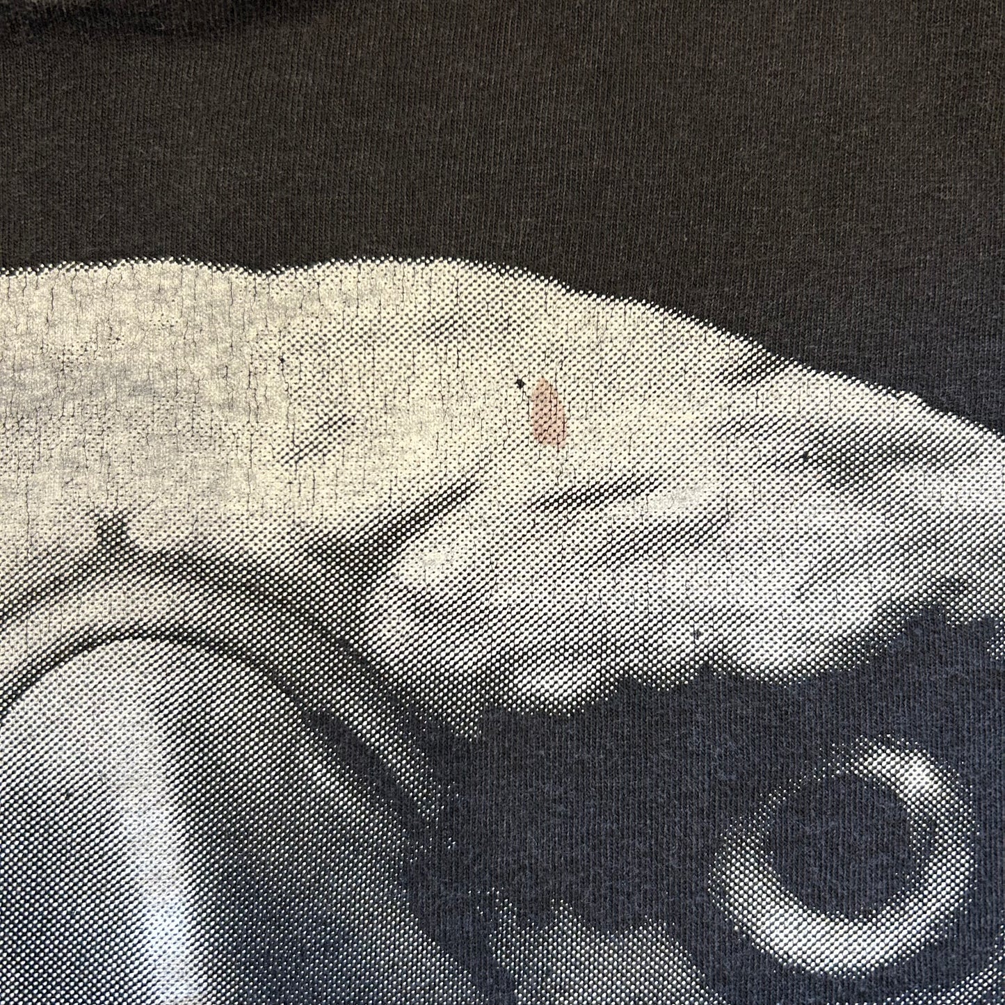 90's Holoubek Budweiser バドワイザー イーグルTシャツ (XL)/A6278T-SO