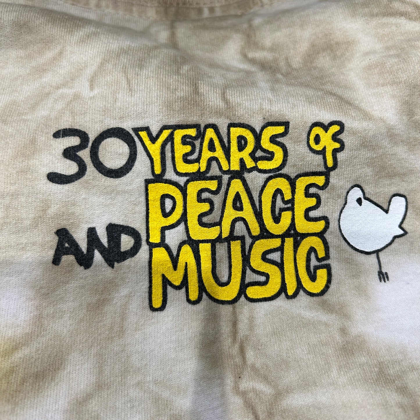 90's Woodstock99' タイダイTシャツ PolyGram (XL)/A6525T-SO