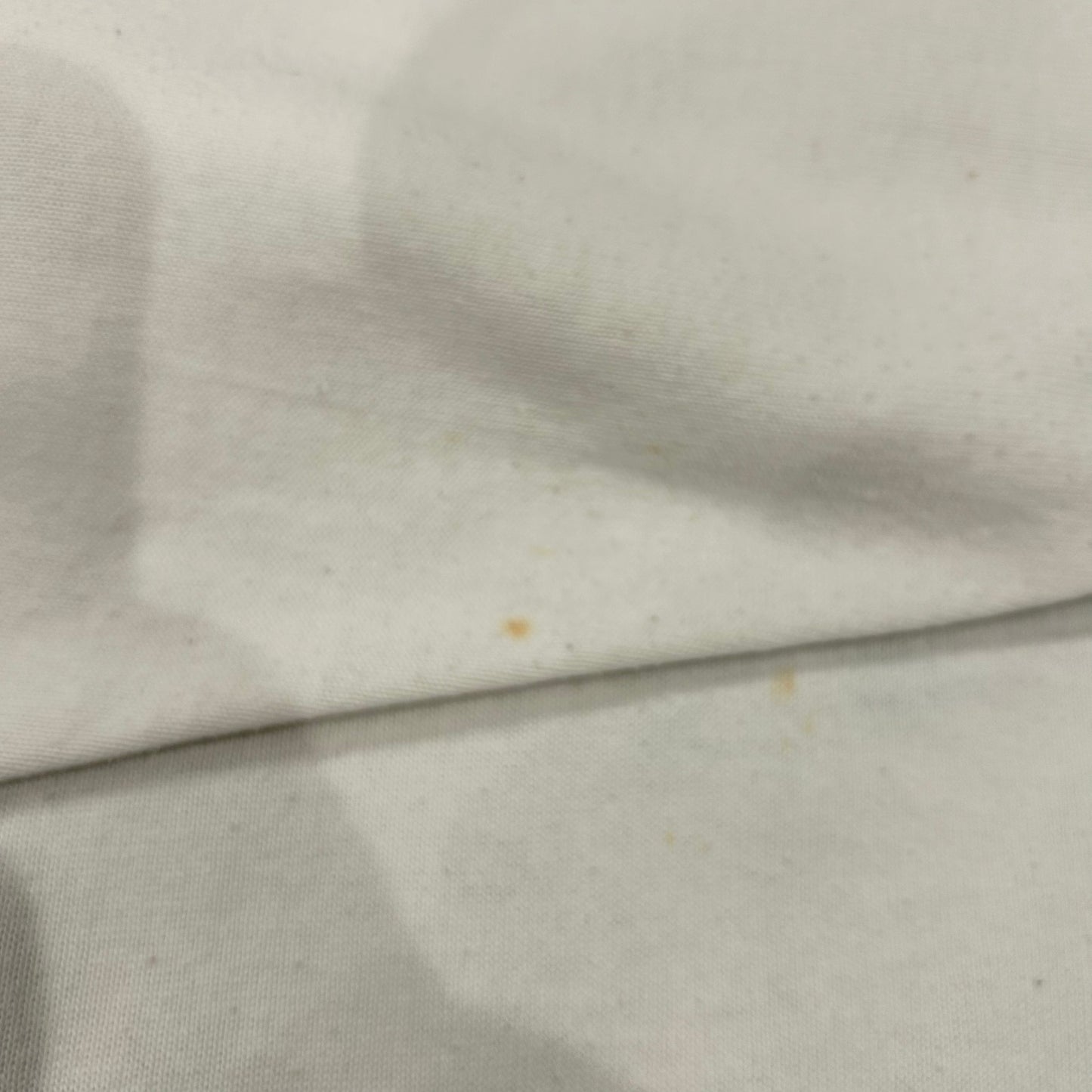 80's Russell Athletic フットボールTシャツ PENN STATE(XL)/A6288T-SO