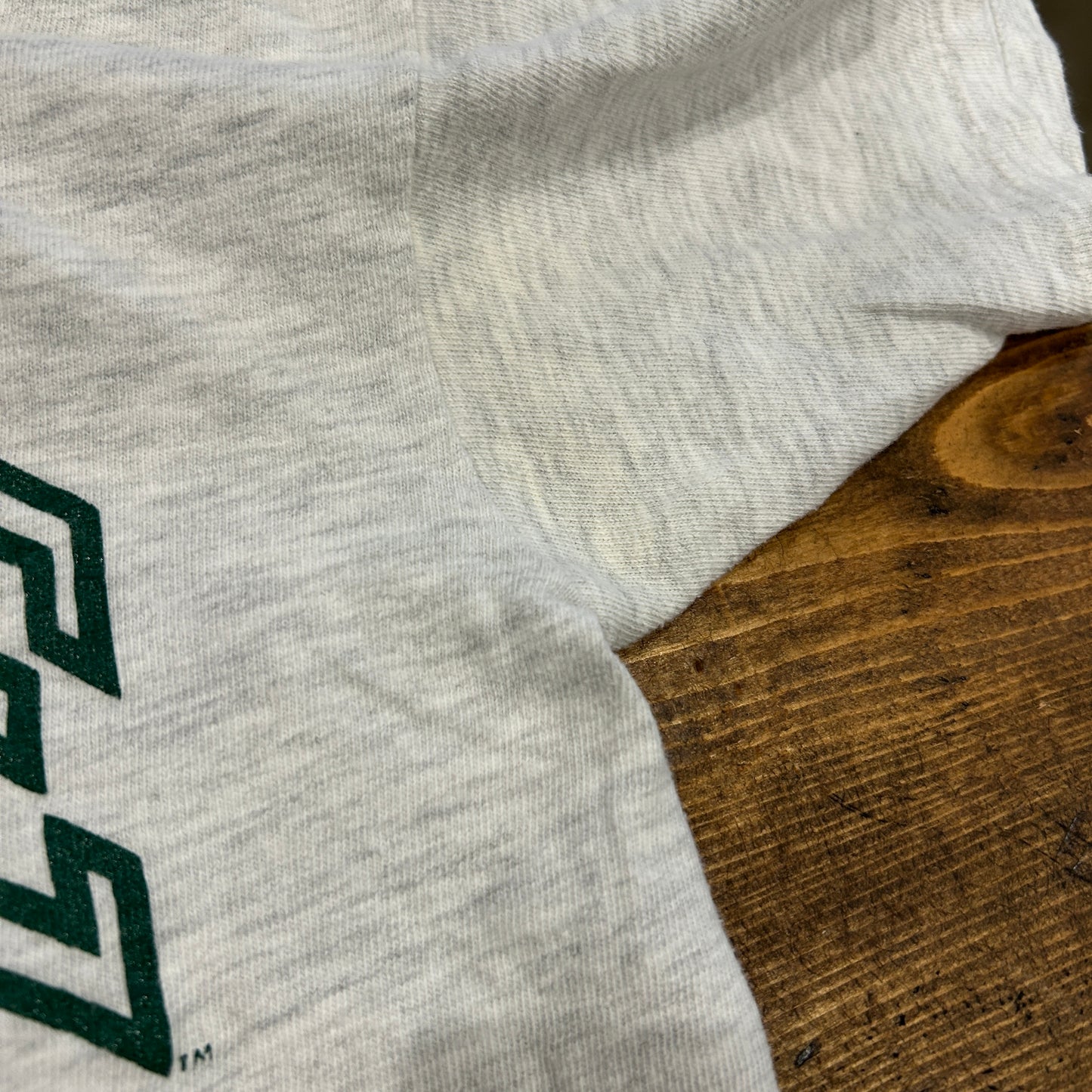 90's Champion TULANE UNIVERSITY カレッジTシャツ USA製 グレー(L)A7315T-SO