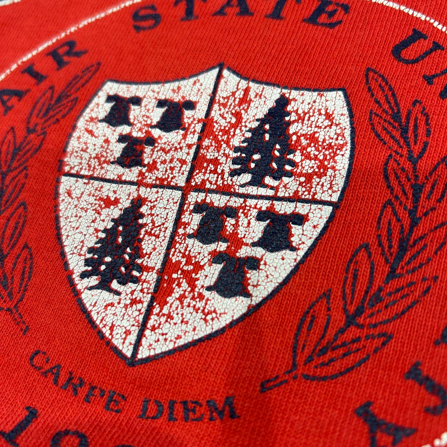 90's Champion MONTCLAIR STATE UNIVERSITY カレッジTシャツ USA製 赤(XL)/A7314T-SO