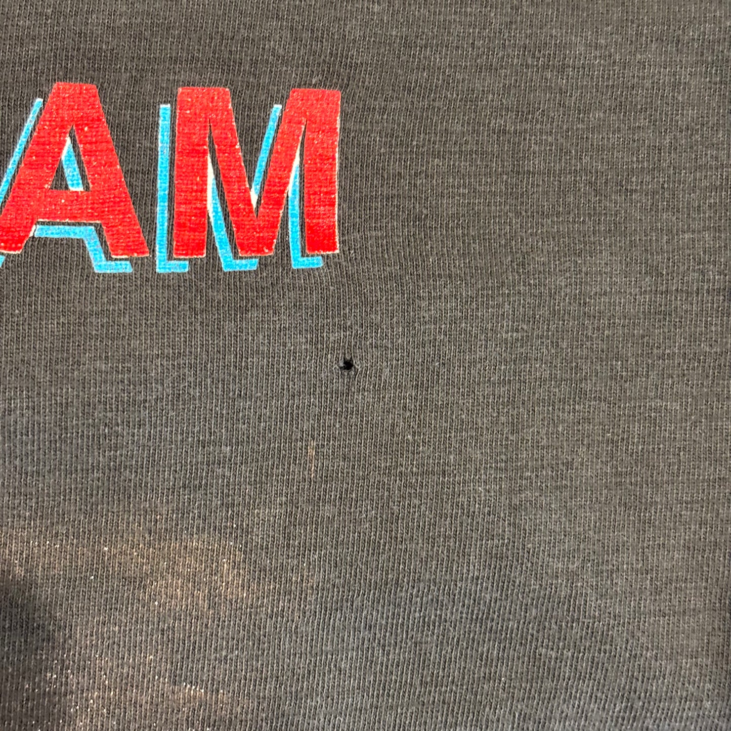 90's MARTIN LUTHER KING,Jr. "I HAVE ADREAM" キング牧師 Tシャツ 黒 (サイズ不明)/B2575T-SO