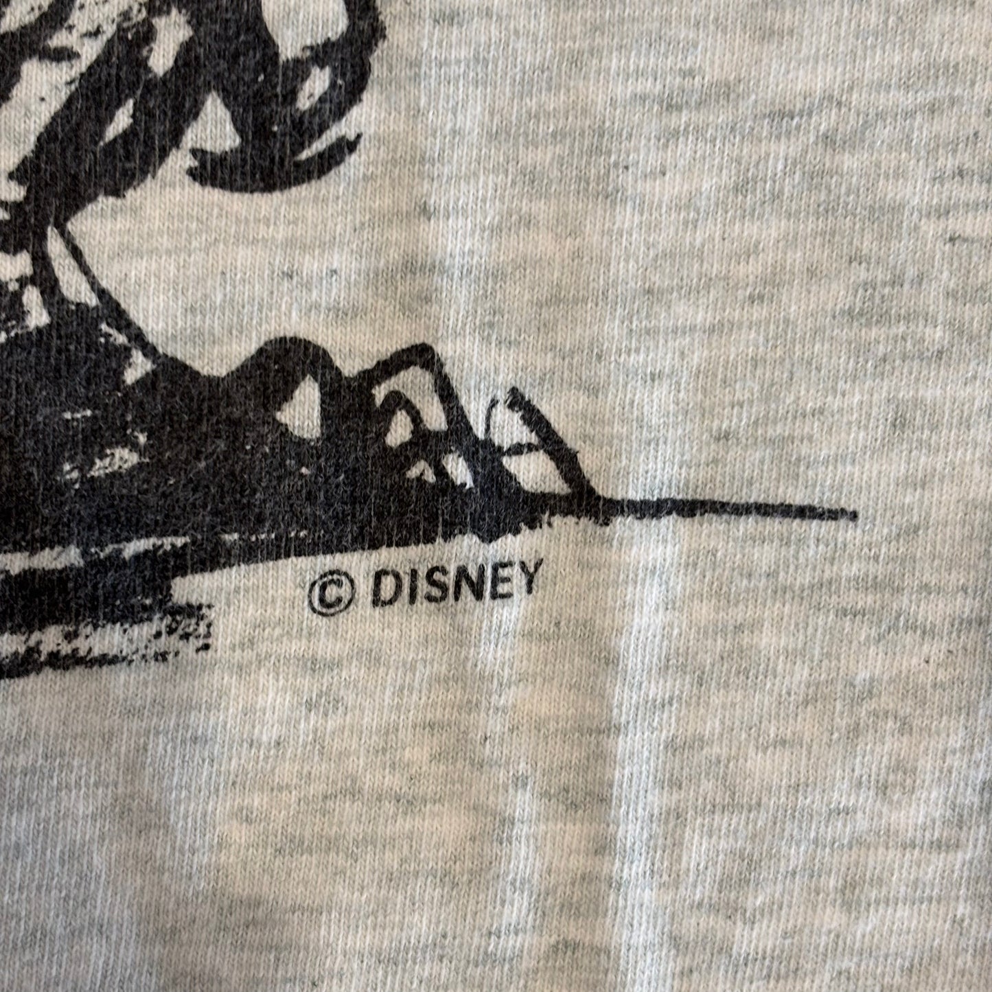 90's FRUIT OF THE LOOM 美女と野獣 アダム王子 ディズニーTシャツ 白 (L)/B2144T-SO