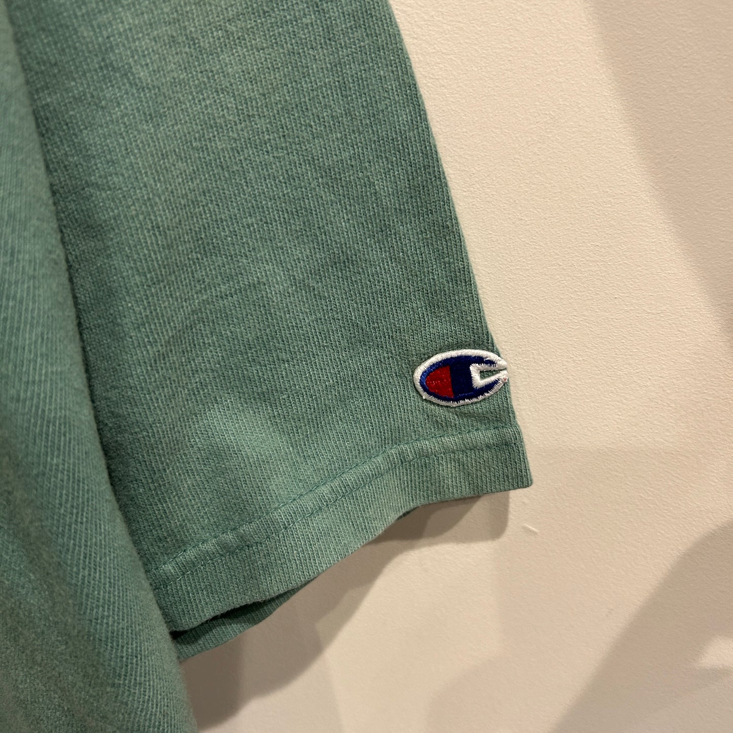 90's Champion WINONA STATE カレッジTシャツ (XL)/A4095T-SO