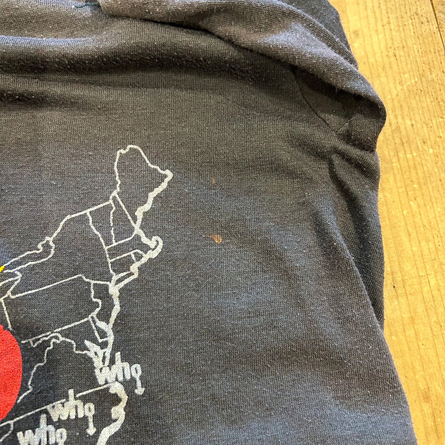 80's THE WHO アメリカツアーTシャツ/A3802T-SO