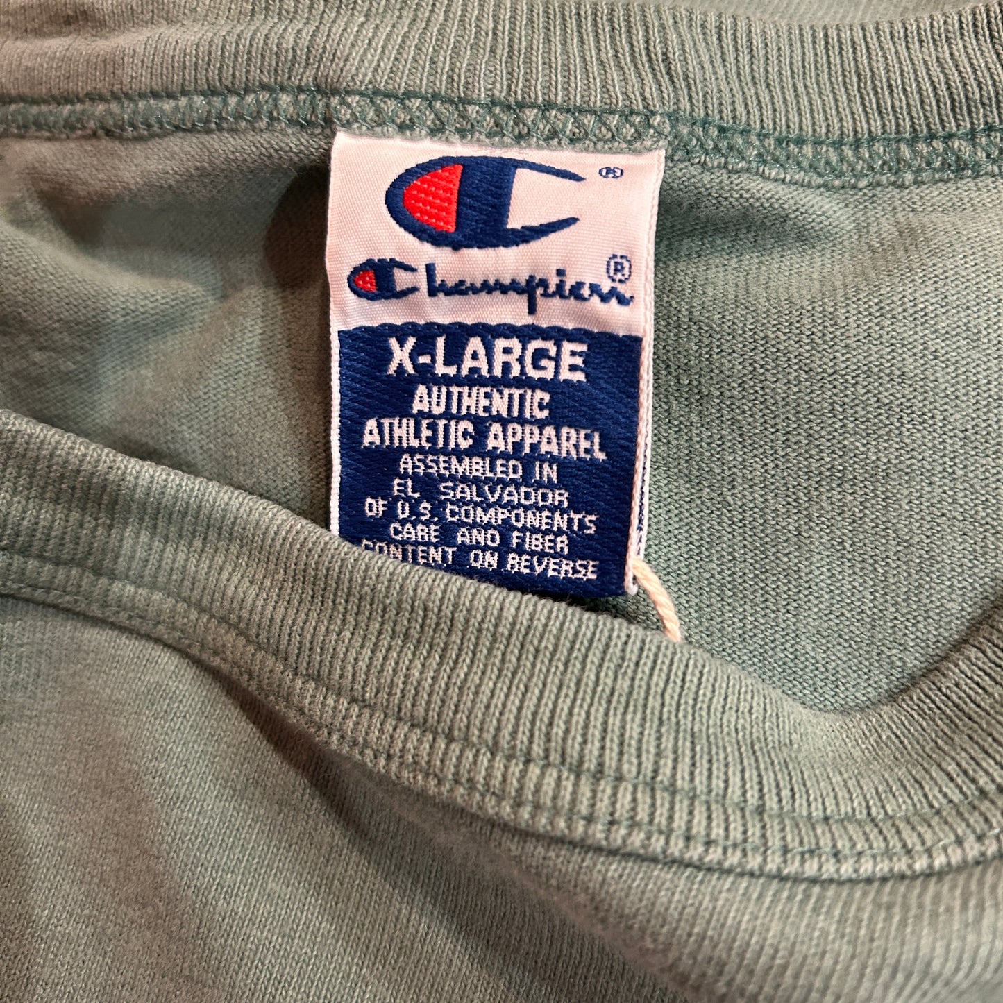 90's Champion WINONA STATE カレッジTシャツ (XL)/A4095T-SO