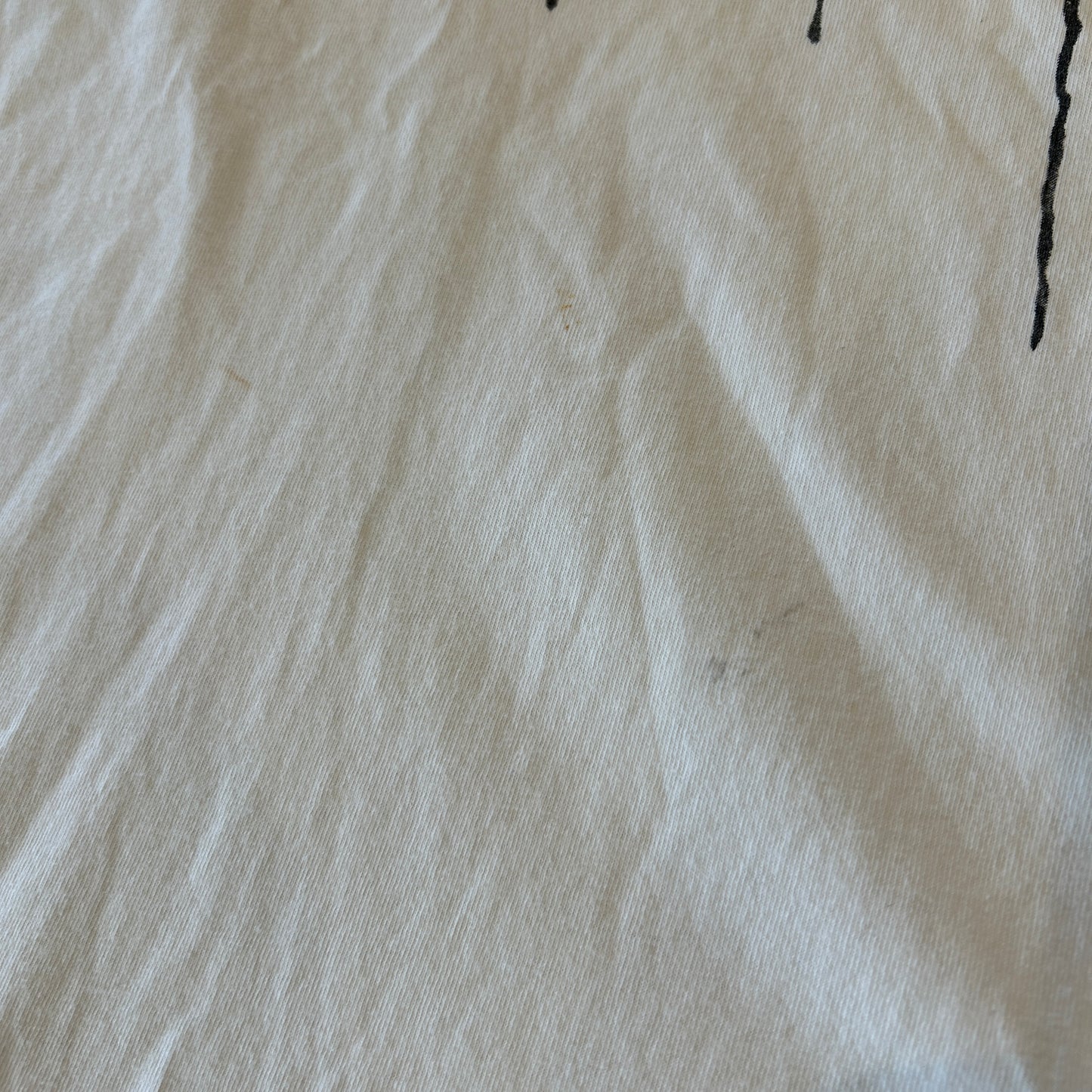 90's Stussy ステューシー グラフィックロゴTシャツ シングルステッチ 白(L)/B2524T-SO
