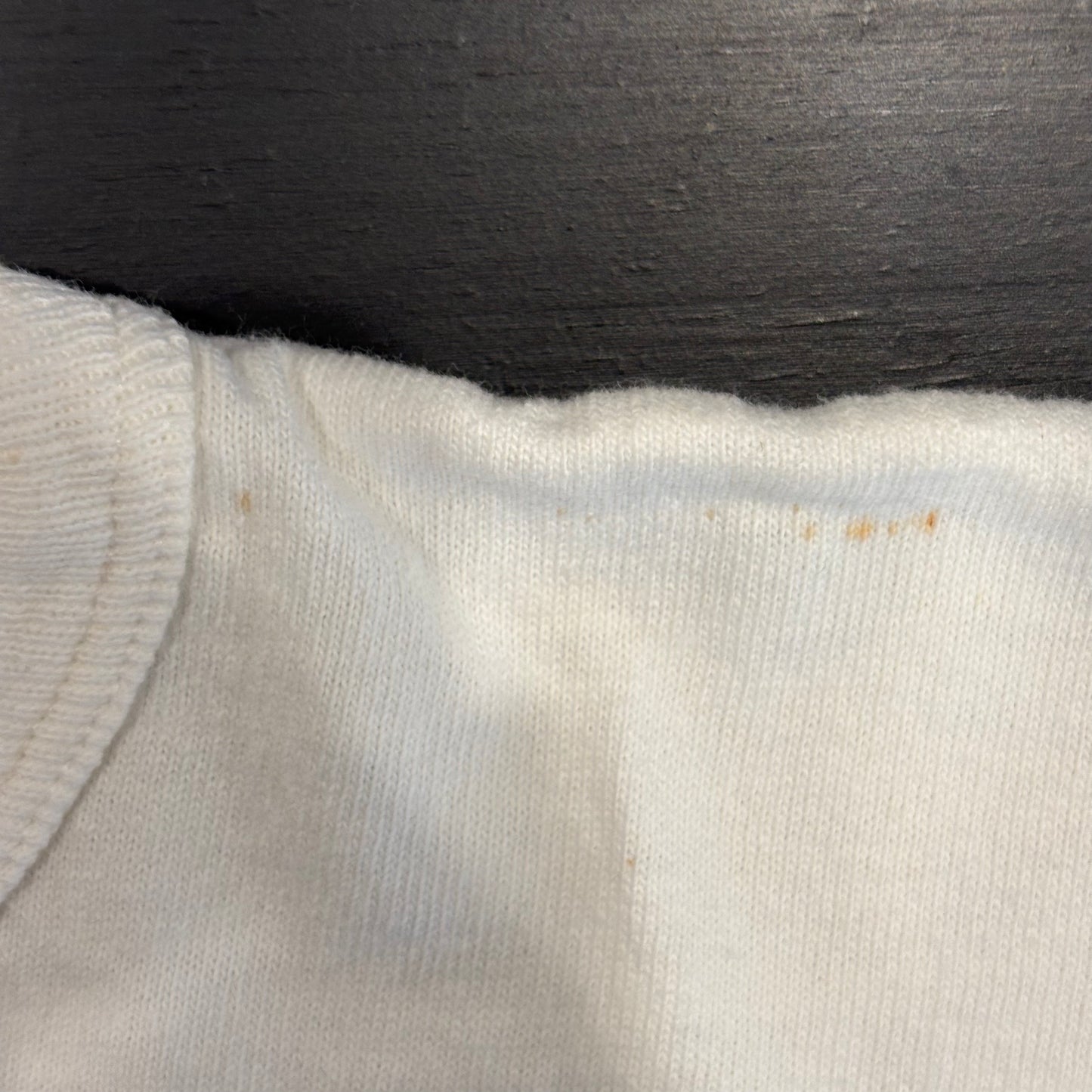 80's champion PRINCETON プリンストン大学 カレッジTシャツ 白 (XL)/A3993T-SO