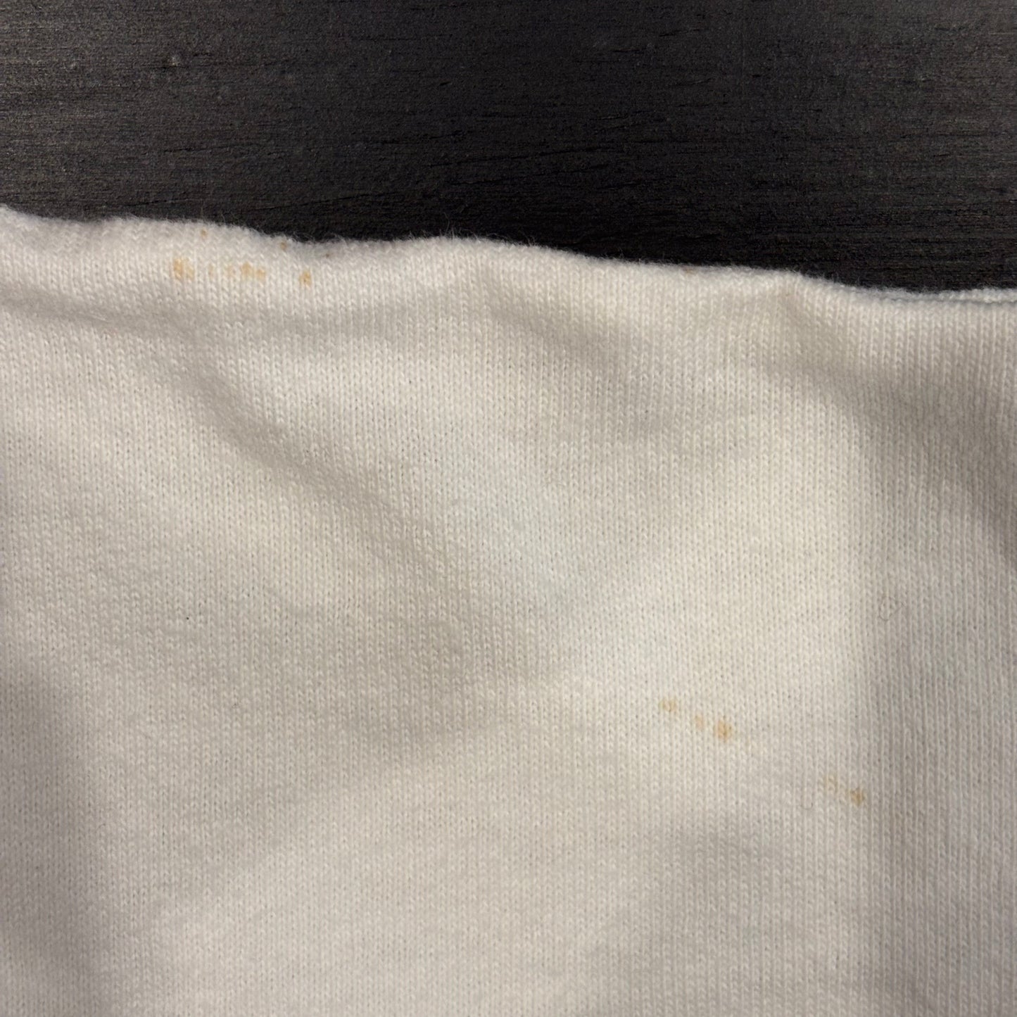 80's champion PRINCETON プリンストン大学 カレッジTシャツ 白 (XL)/A3993T-SO