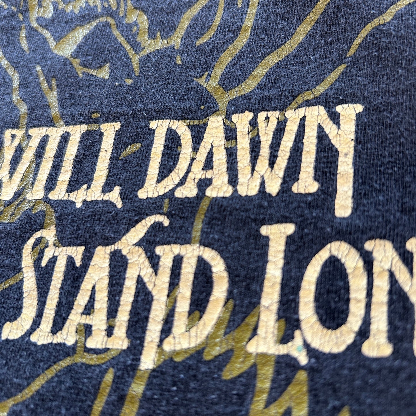 00's LED ZEPPELIN ツェッペリン A NEW DAY WILL DAWN Tシャツ(XL)/A4314T-SO