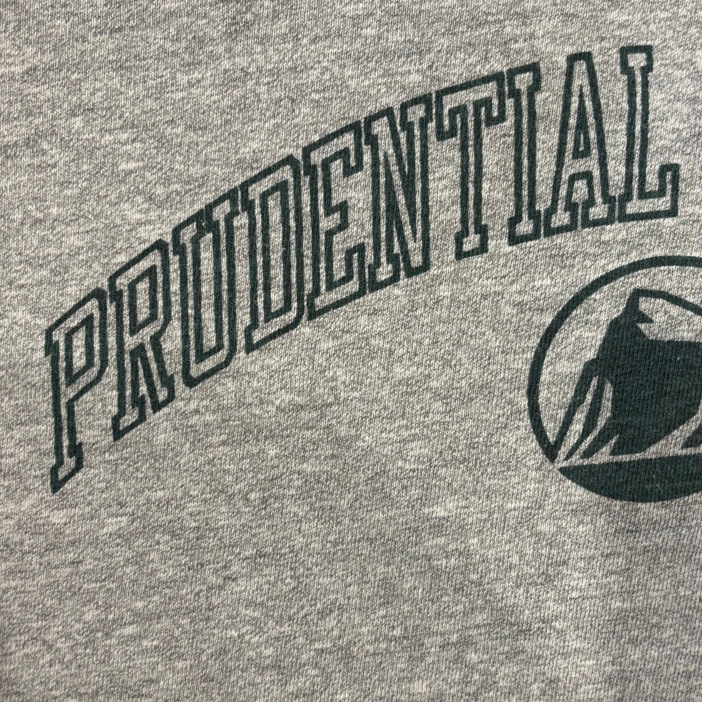 90's Champion PRUDENTIAL SECURITIES カレッジTシャツ グレー (XL)/A4504T-SO