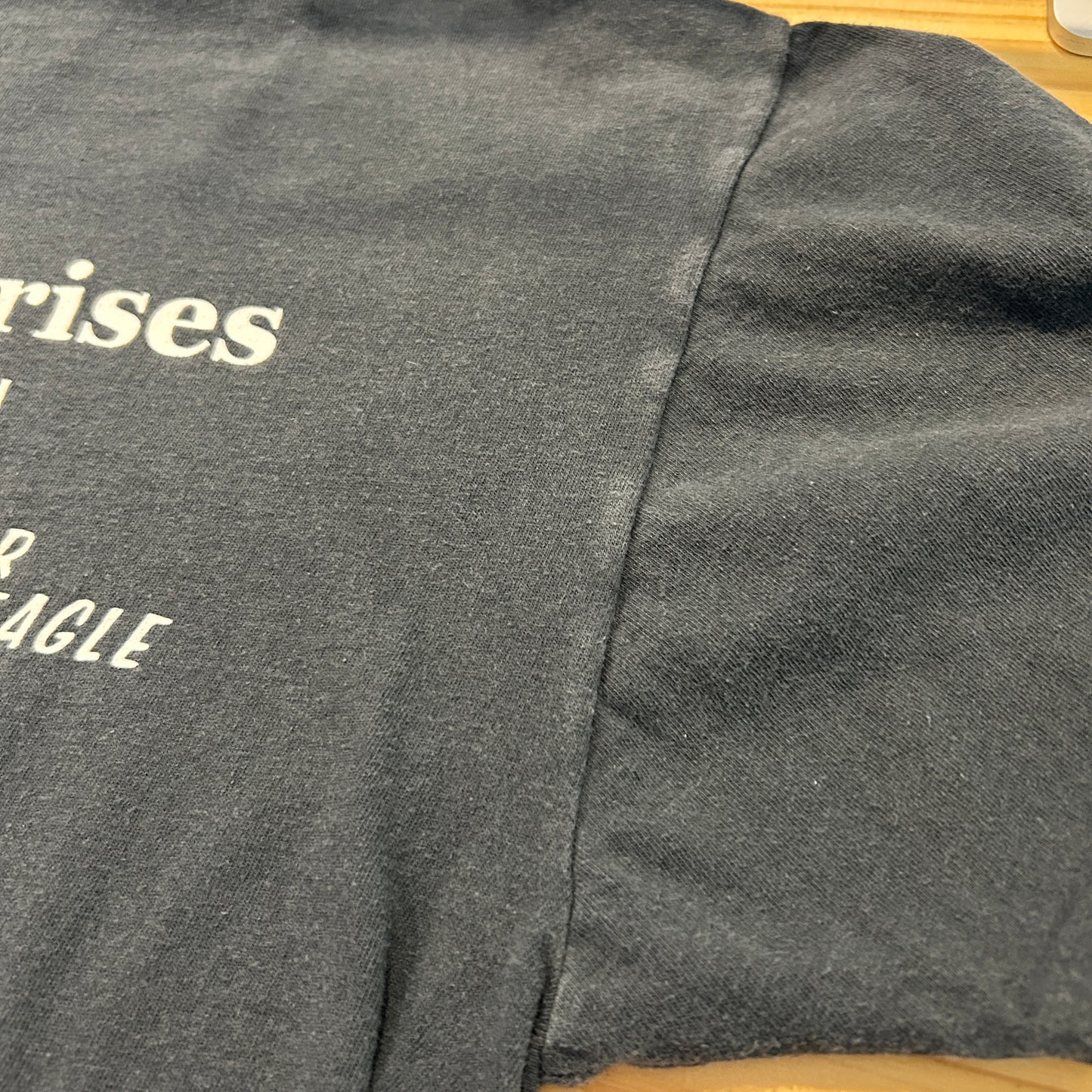 90's CMJ "THE STRONG SURVIVE" 狼 エンジン モーターサイクルTシャツ (L) /A7146T-SO