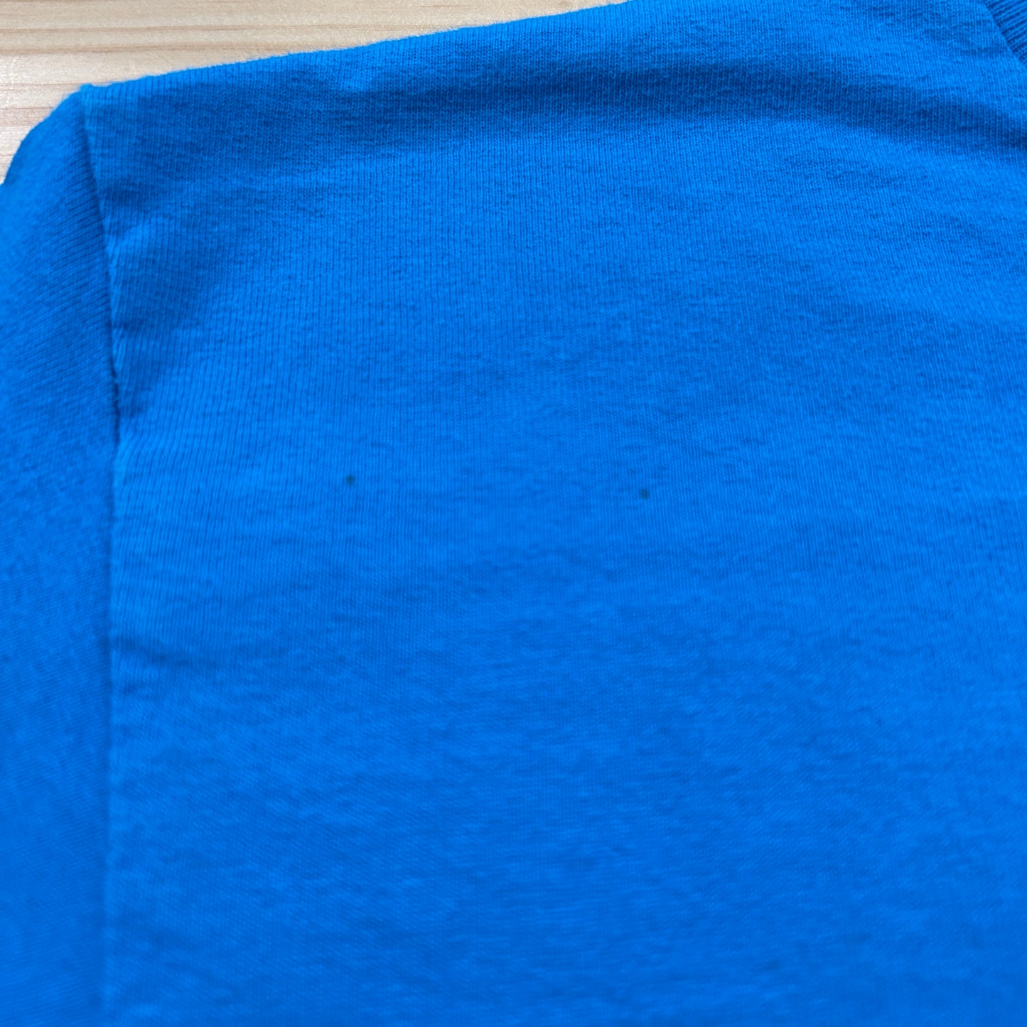 00's SANTA CRUZ logo ロゴ Tシャツ (L)/A7519T-SO
