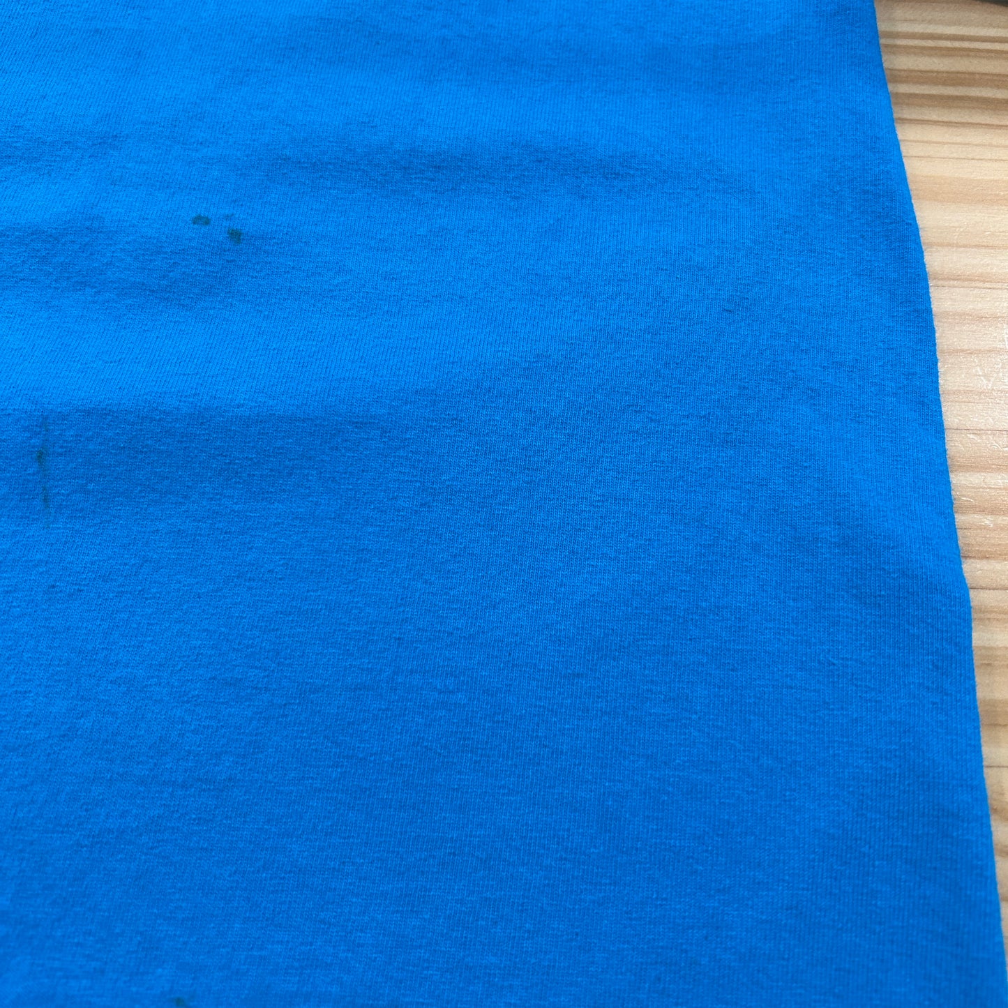 00's SANTA CRUZ logo ロゴ Tシャツ (L)/A7519T-SO