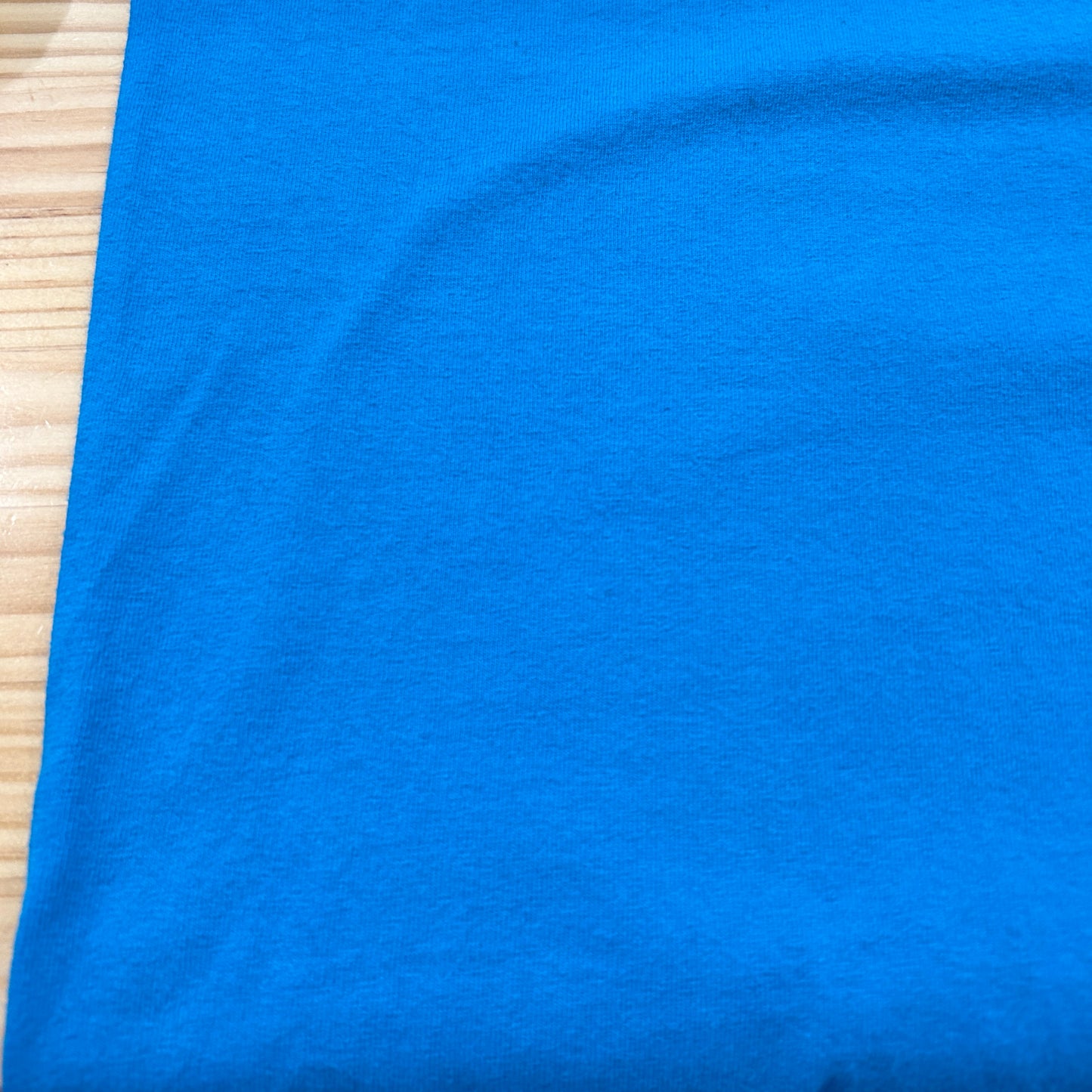 00's SANTA CRUZ logo ロゴ Tシャツ (L)/A7519T-SO
