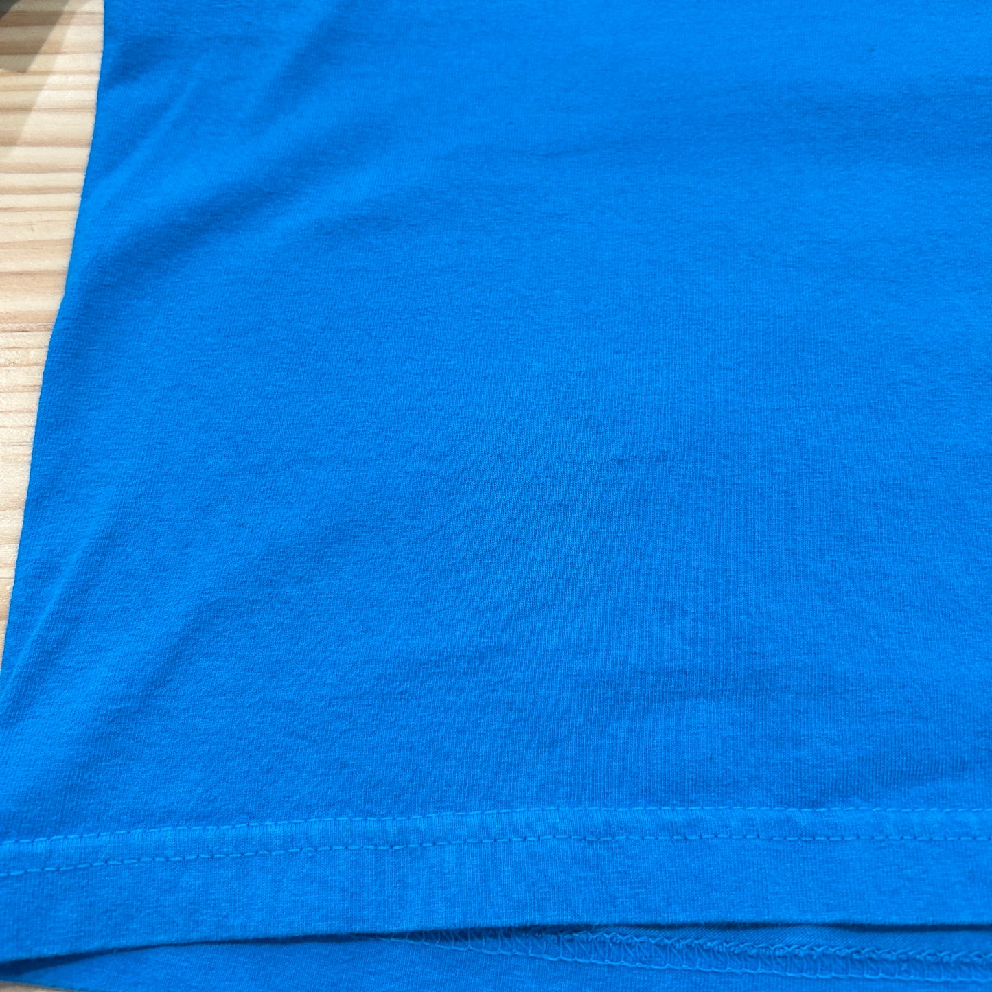 00's SANTA CRUZ logo ロゴ Tシャツ (L)/A7519T-SO