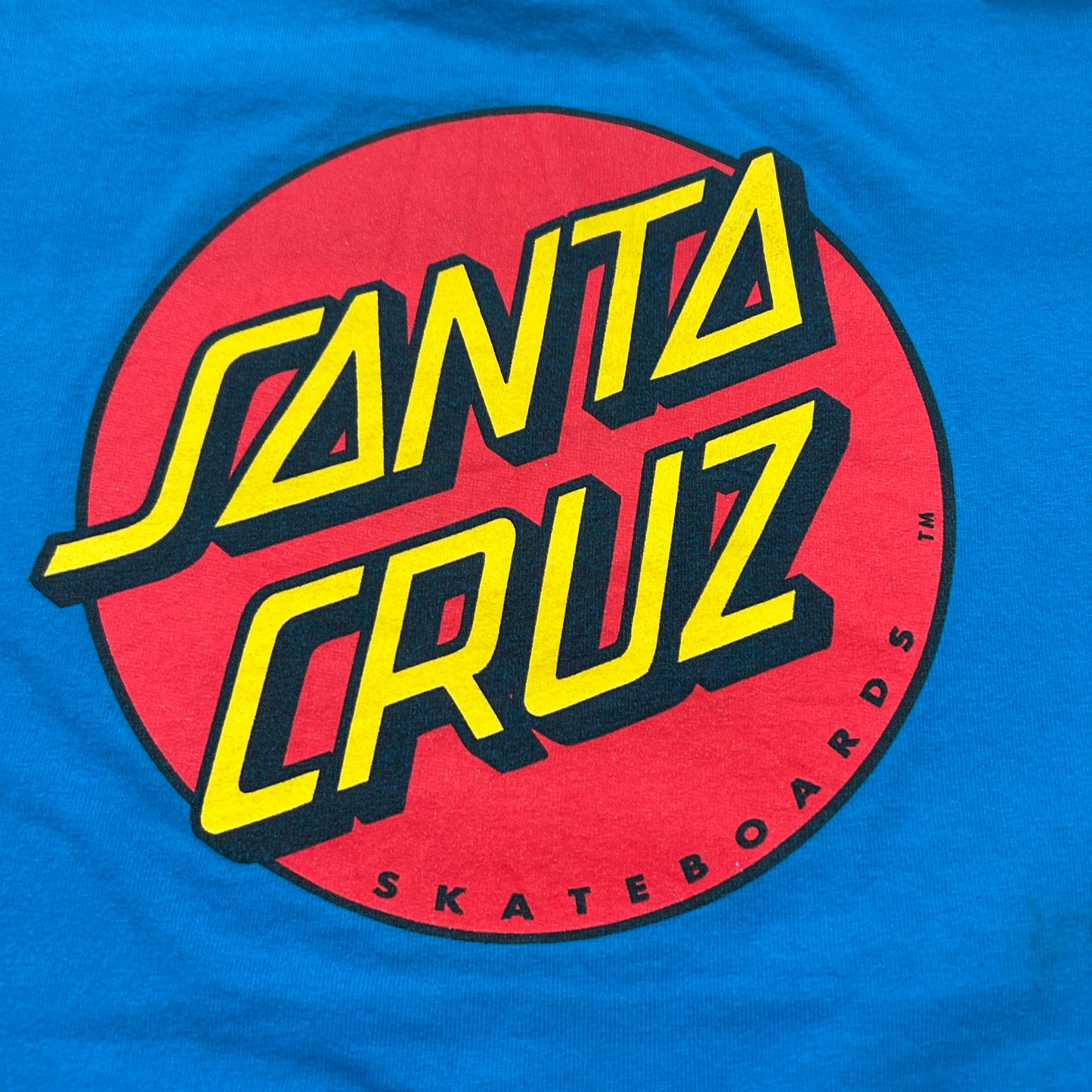 00's SANTA CRUZ logo ロゴ Tシャツ (L)/A7519T-SO
