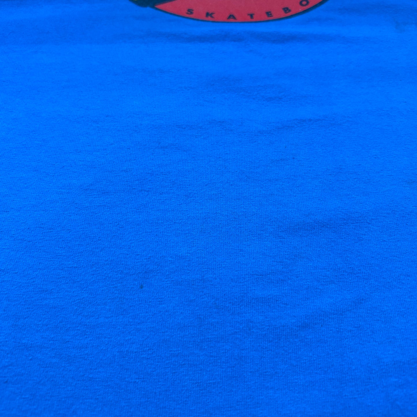 00's SANTA CRUZ logo ロゴ Tシャツ (L)/A7519T-SO