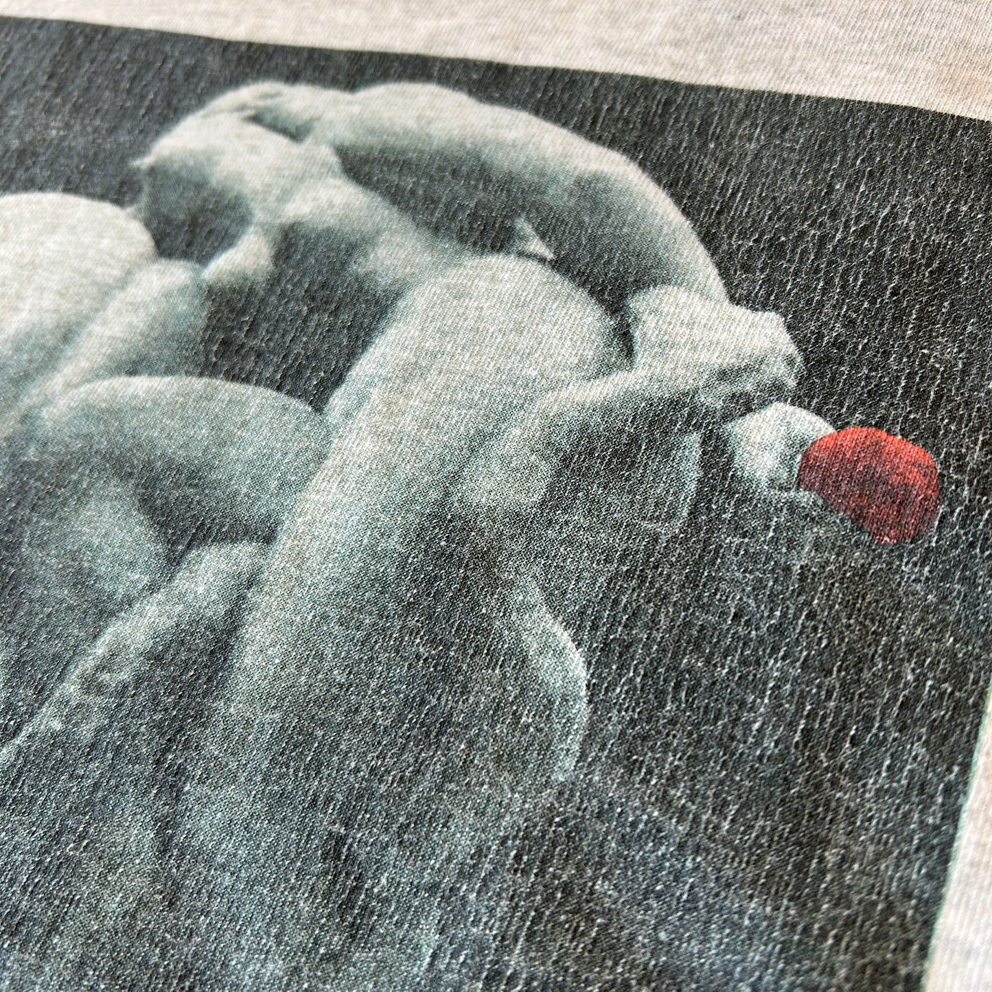 90's Fruit Of The Loom"THE ANGEL IN THE HOUSE"the story Tシャツ アート 本 グレー(XL)/A2773T-SO