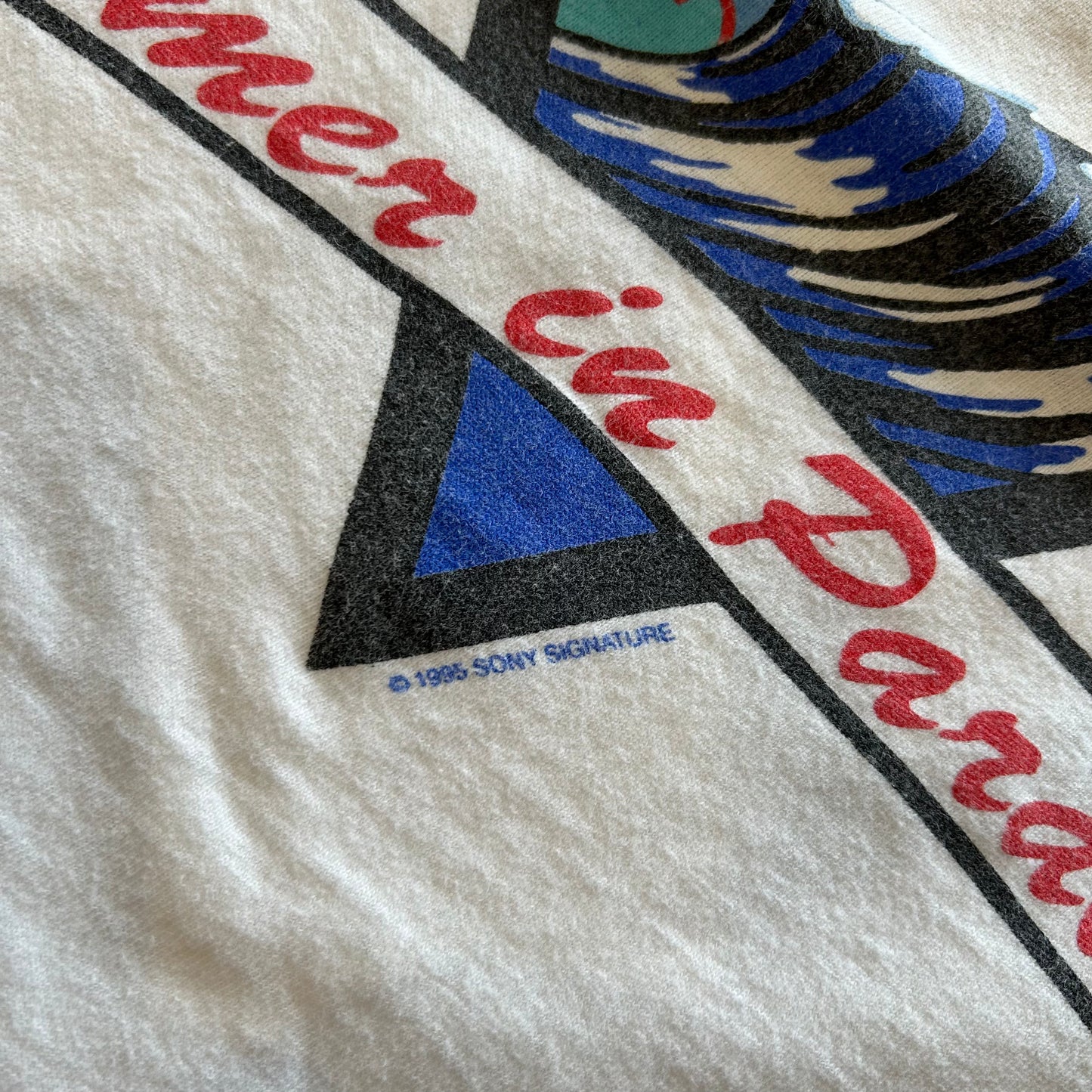 90’s ONEITA THE BEACH BOYS WORLD TOUR Tシャツ (XL)/A3652T-SO