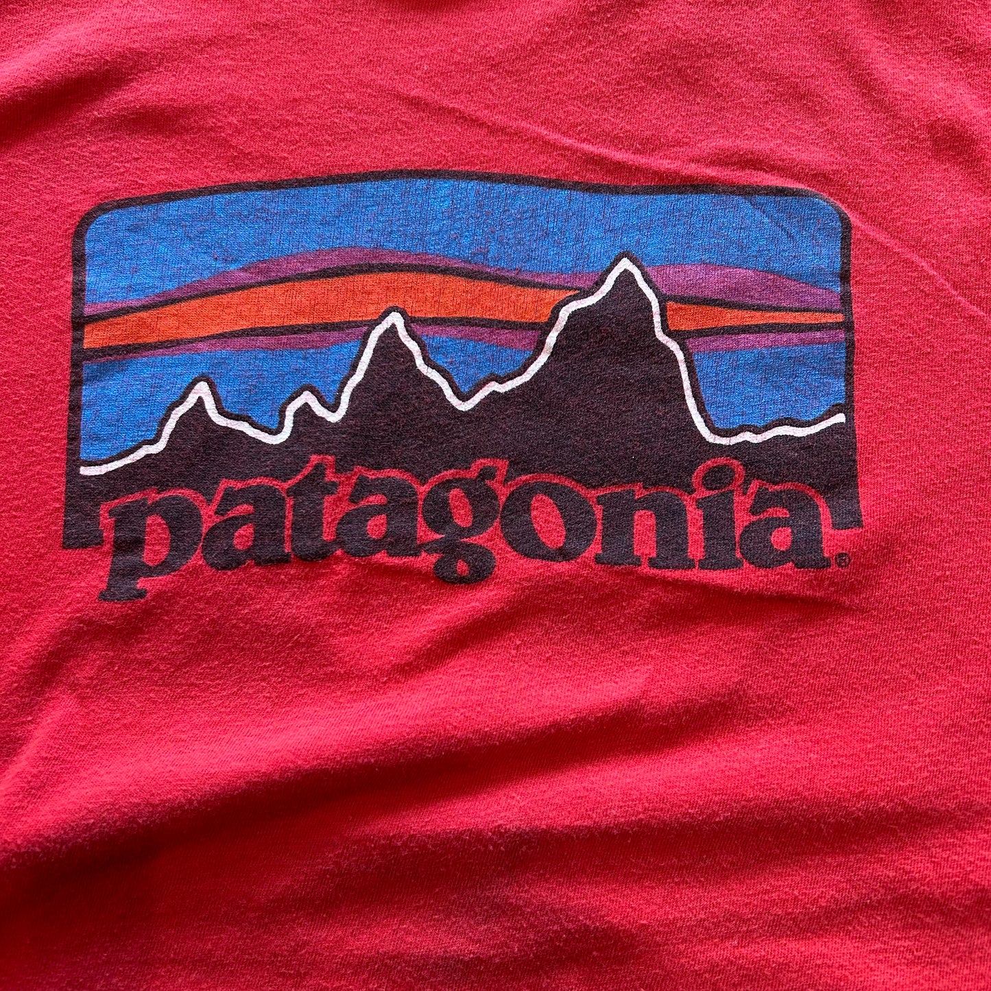 80's SCREEN STARS Patagonia ロゴT 赤(L)/A2703T-SO