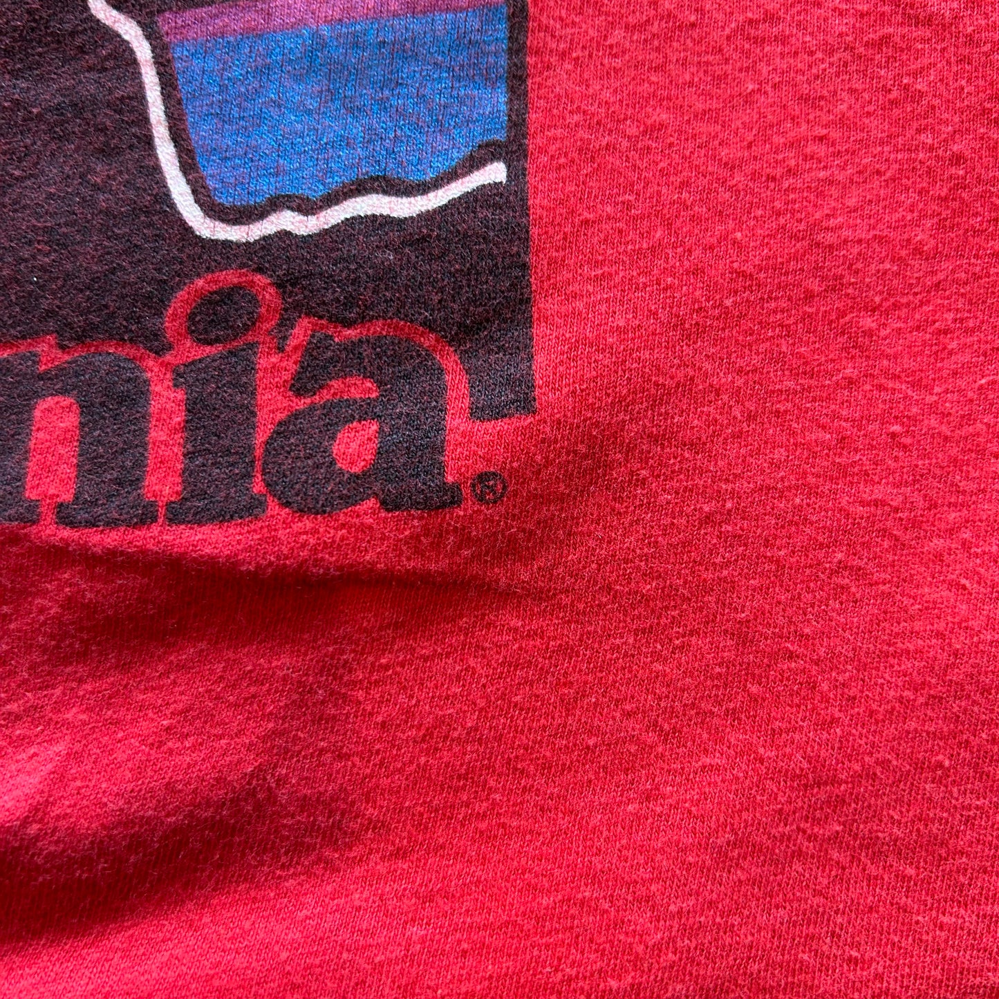 80's SCREEN STARS Patagonia ロゴT 赤(L)/A2703T-SO
