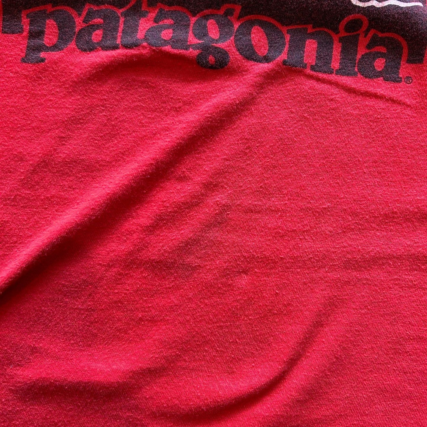 80's SCREEN STARS Patagonia ロゴT 赤(L)/A2703T-SO