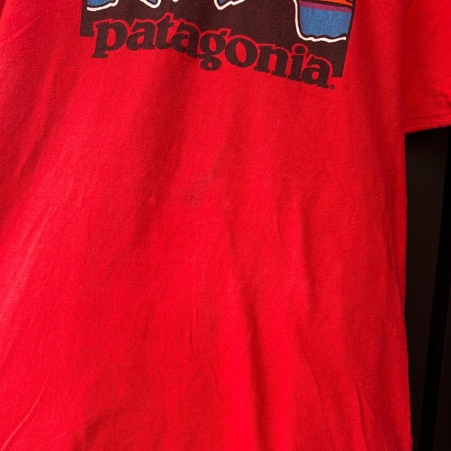 80's SCREEN STARS Patagonia ロゴT 赤(L)/A2703T-SO