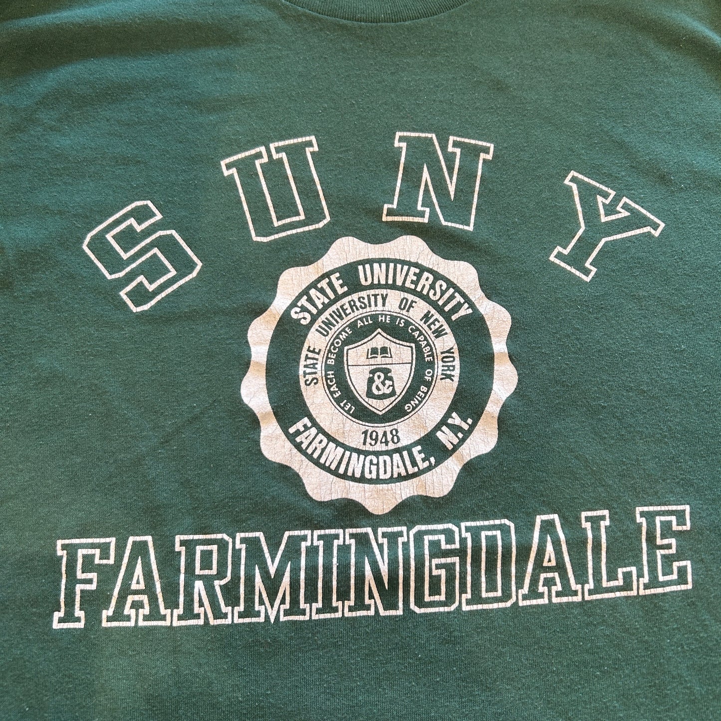 80's Champion SUNY FARMINGDALE カレッジTシャツ トリコ 緑(L)/A7306T-SO