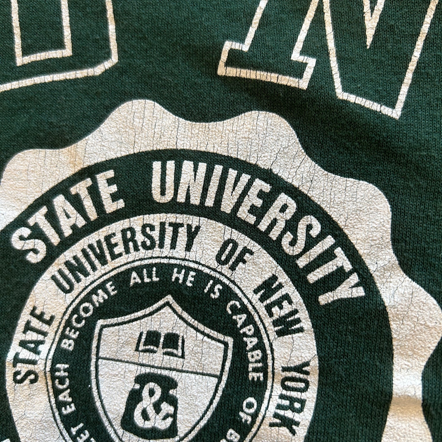 80's Champion SUNY FARMINGDALE カレッジTシャツ トリコ 緑(L)/A7306T-SO