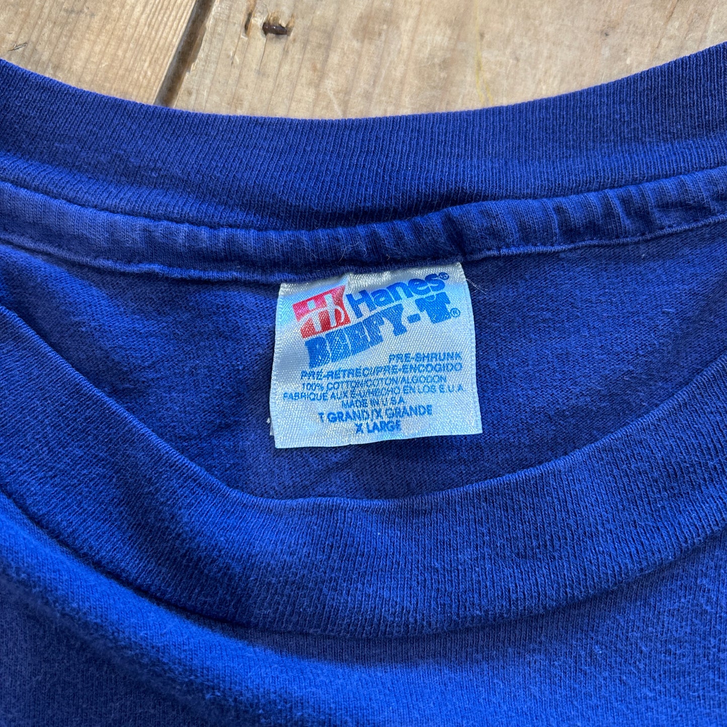 90's Hanes イグアナ アニマルプリントTシャツ 動物 紫(XL)/B2731T-SO