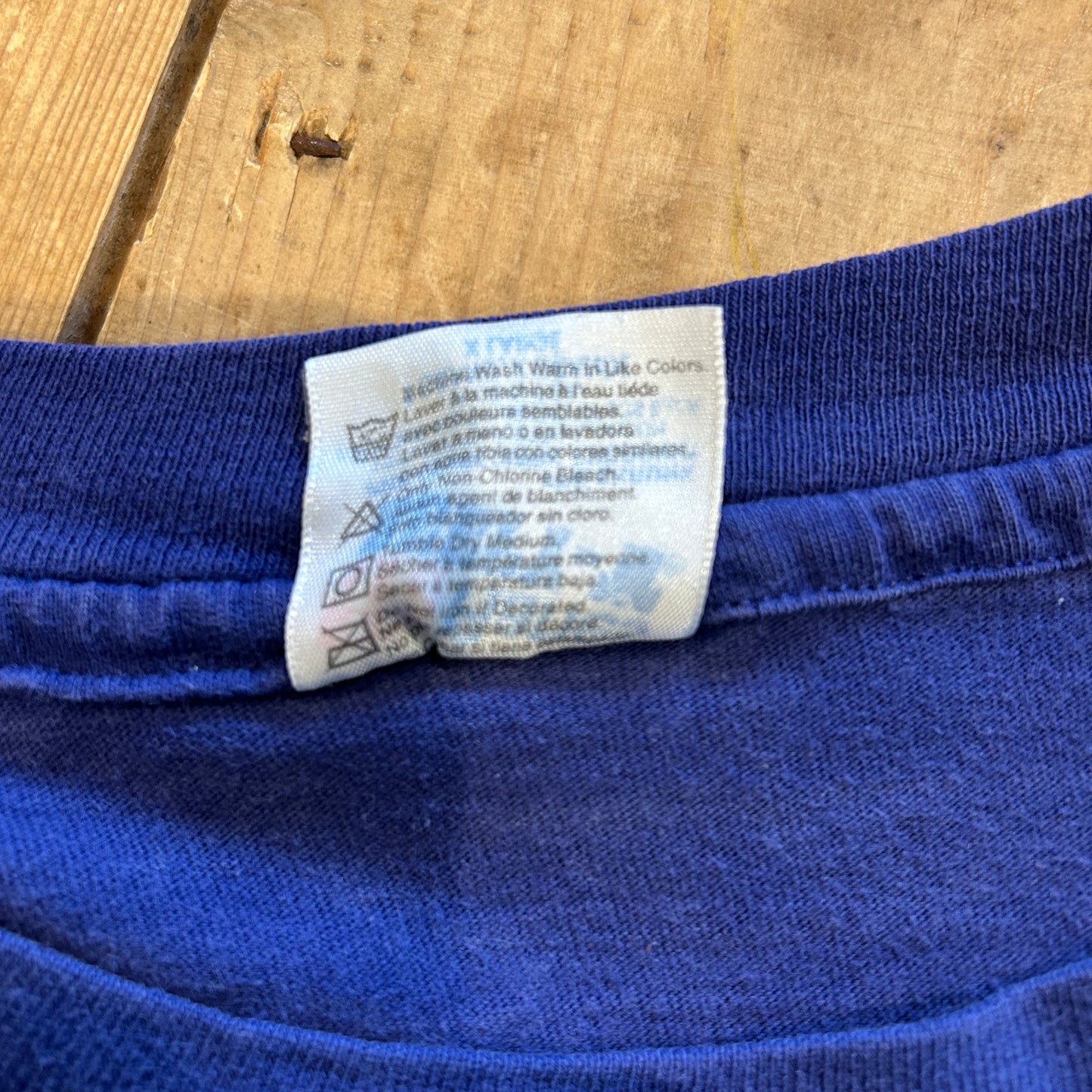 90's Hanes イグアナ アニマルプリントTシャツ 動物 紫(XL)/B2731T-SO