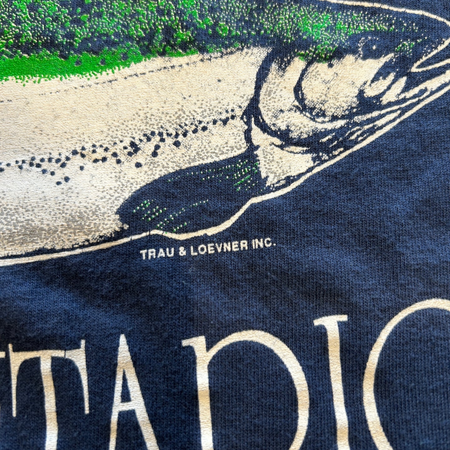 90's Savvy LAKE ONTARIO オンタリオ湖プリントTシャツ トラウト サーモン 紺(L)/A7386T-SO
