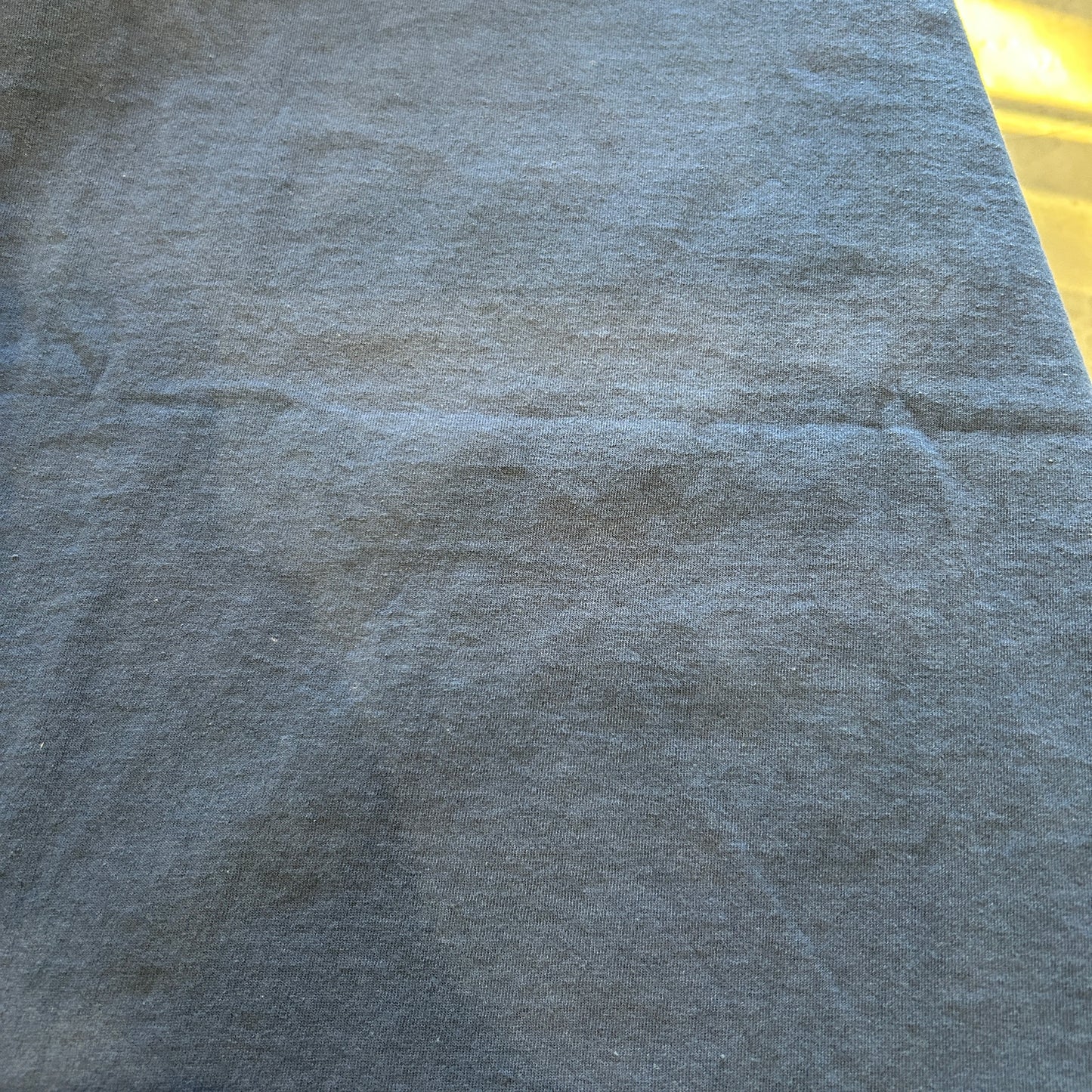 90's Savvy LAKE ONTARIO オンタリオ湖プリントTシャツ トラウト サーモン 紺(L)/A7386T-SO