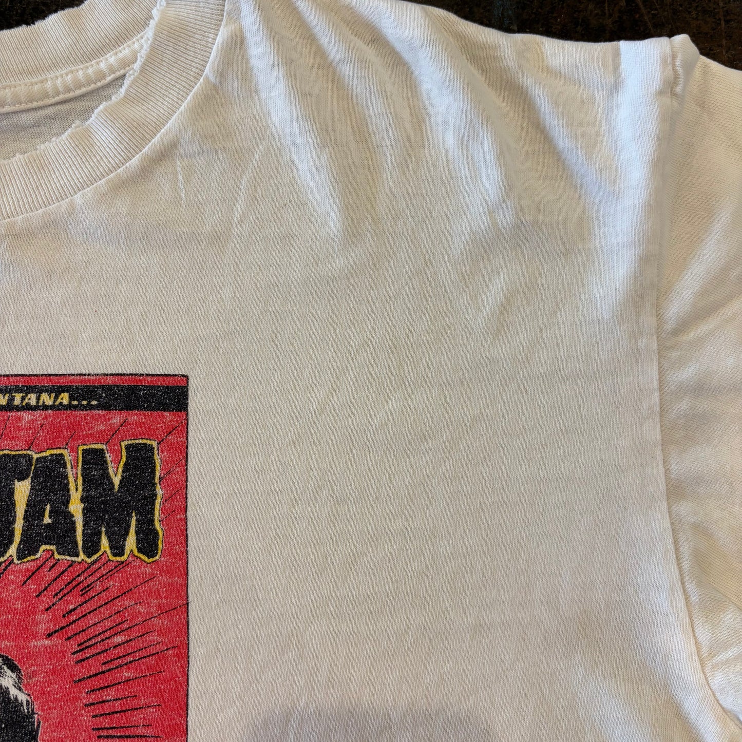 90's anvil PEARL JAM 1998 YIELD TOUR プリントTシャツ 白 L /A7503T-SO