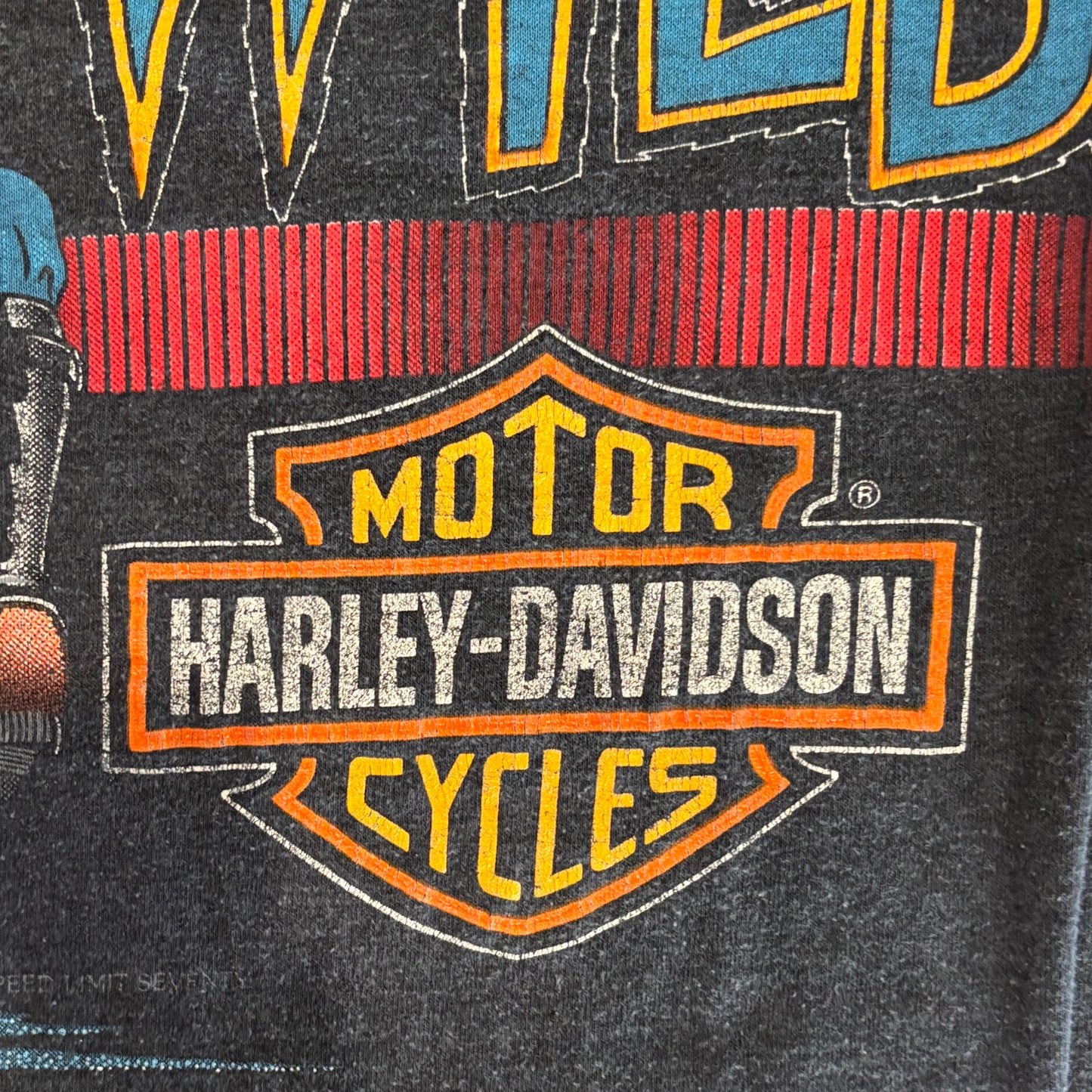 80's SSI Harley-Davidson BORN TO BE WILD ハーレーTシャツ シングルステッチ 黒 (L)/A4269T-SO