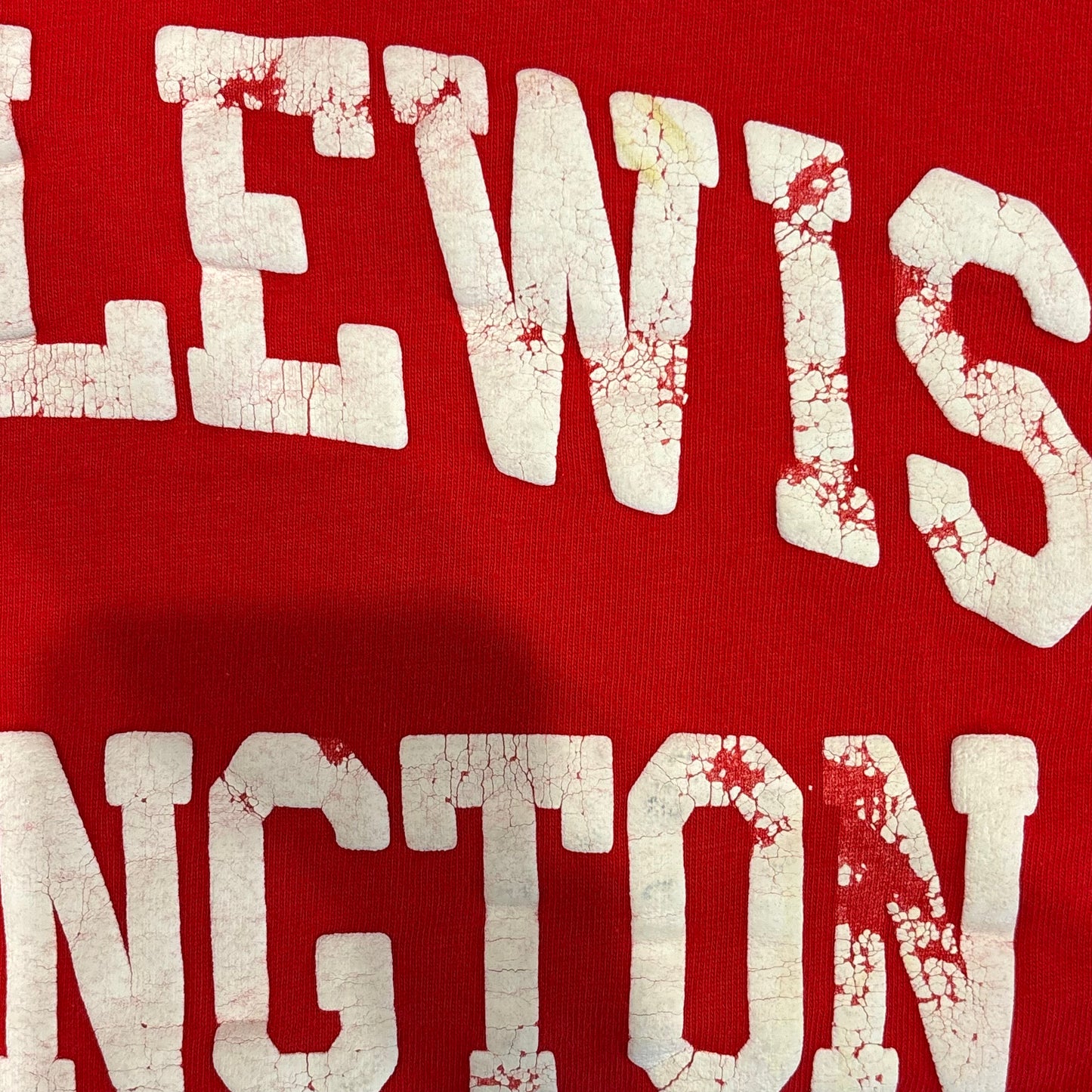 80's ARTEX Fort Lewis Washington 発泡プリント スウェットTシャツ 赤 (M)/A6896T-SO