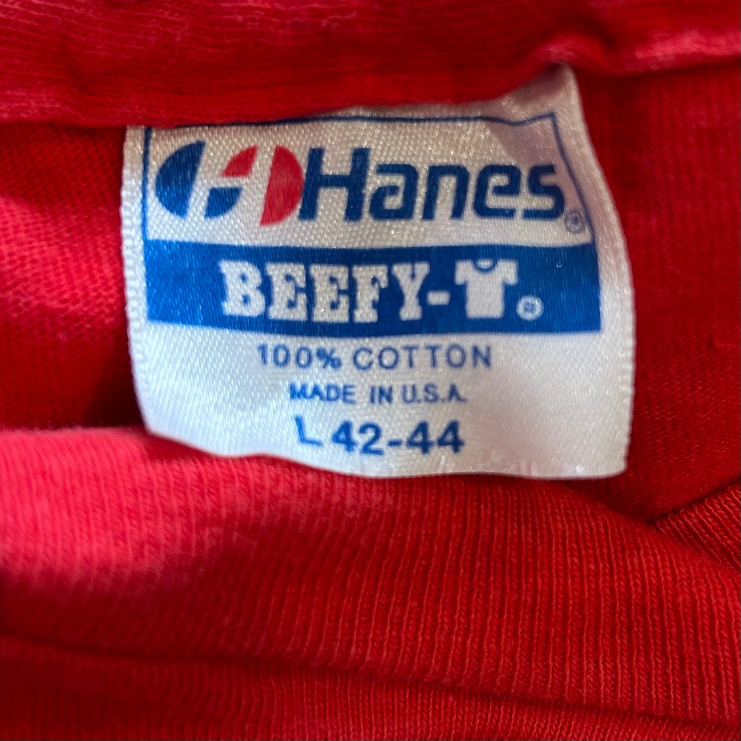 90's Hanes LIFE MAGAZINE ロゴTシャツ 企業T 雑誌 赤(L)/A6394T-SO