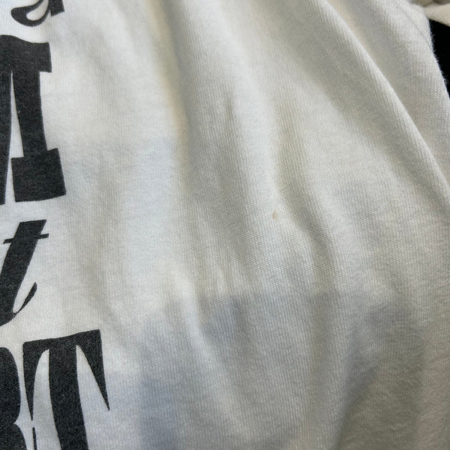 90's WARNER BROS ポーキー・ピッグ キャラクターTシャツ Looney Tunes白(L)/B2073T-SO