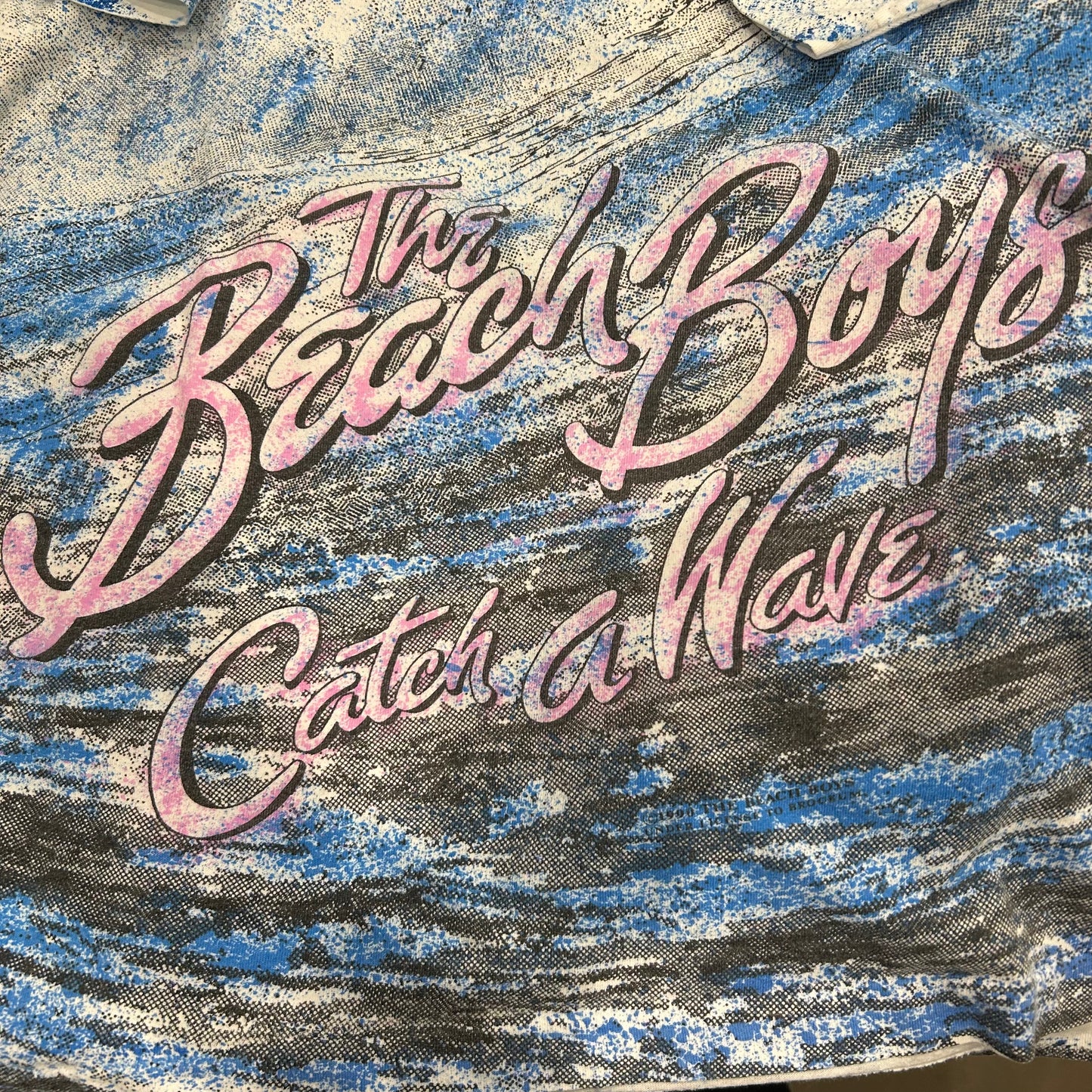 90's Fruit of The Loom The Beach Boys Catch a Weave サーフィン オールオーバープリントTシャツ(XL)/A6424T-SO