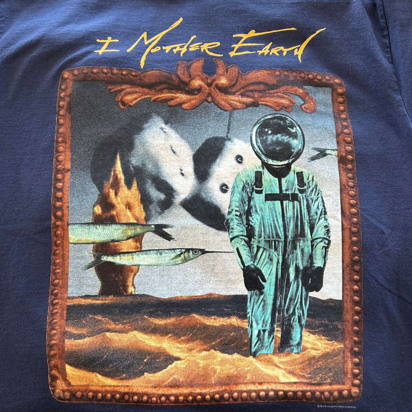 90's BLUE GRAPE"I MOTHER EARTH"バンドTシャツ Scenery and Fishジャケットデザイン (XL)/A6532T-SO