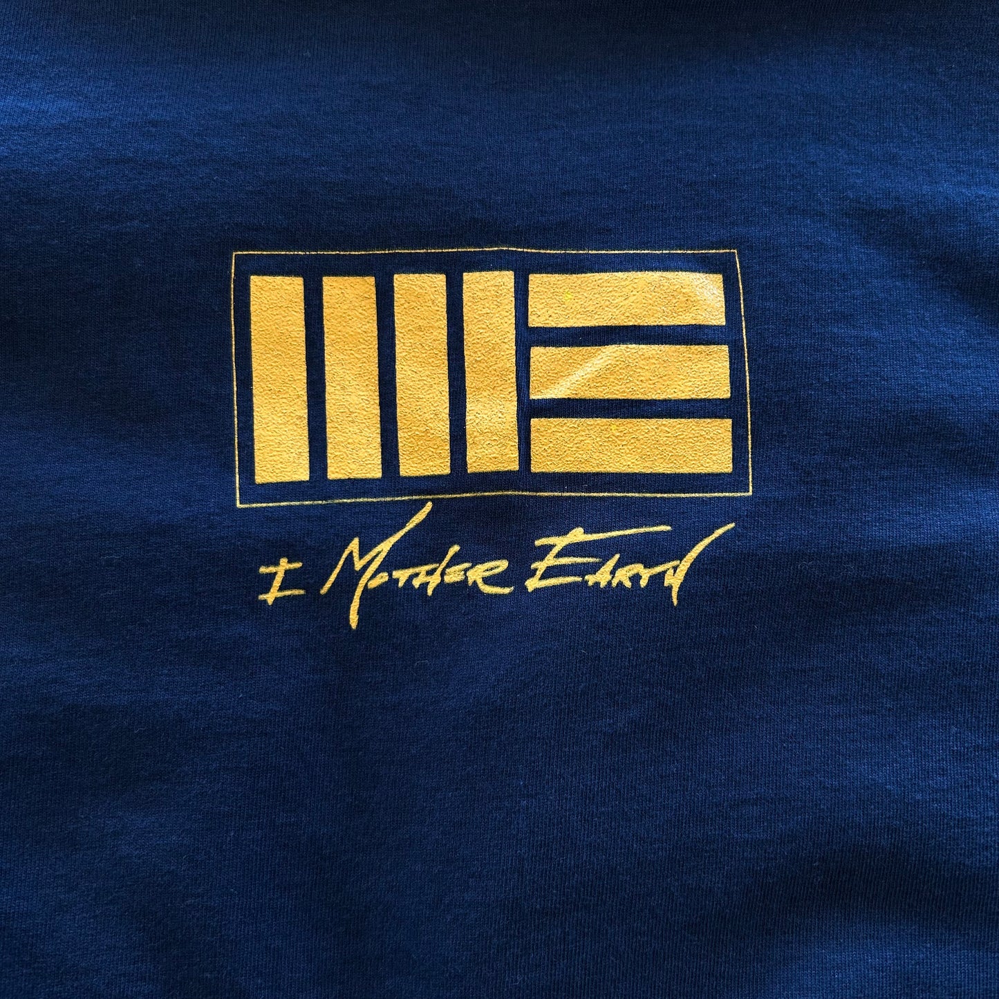 90's BLUE GRAPE"I MOTHER EARTH"バンドTシャツ Scenery and Fishジャケットデザイン (XL)/A6532T-SO
