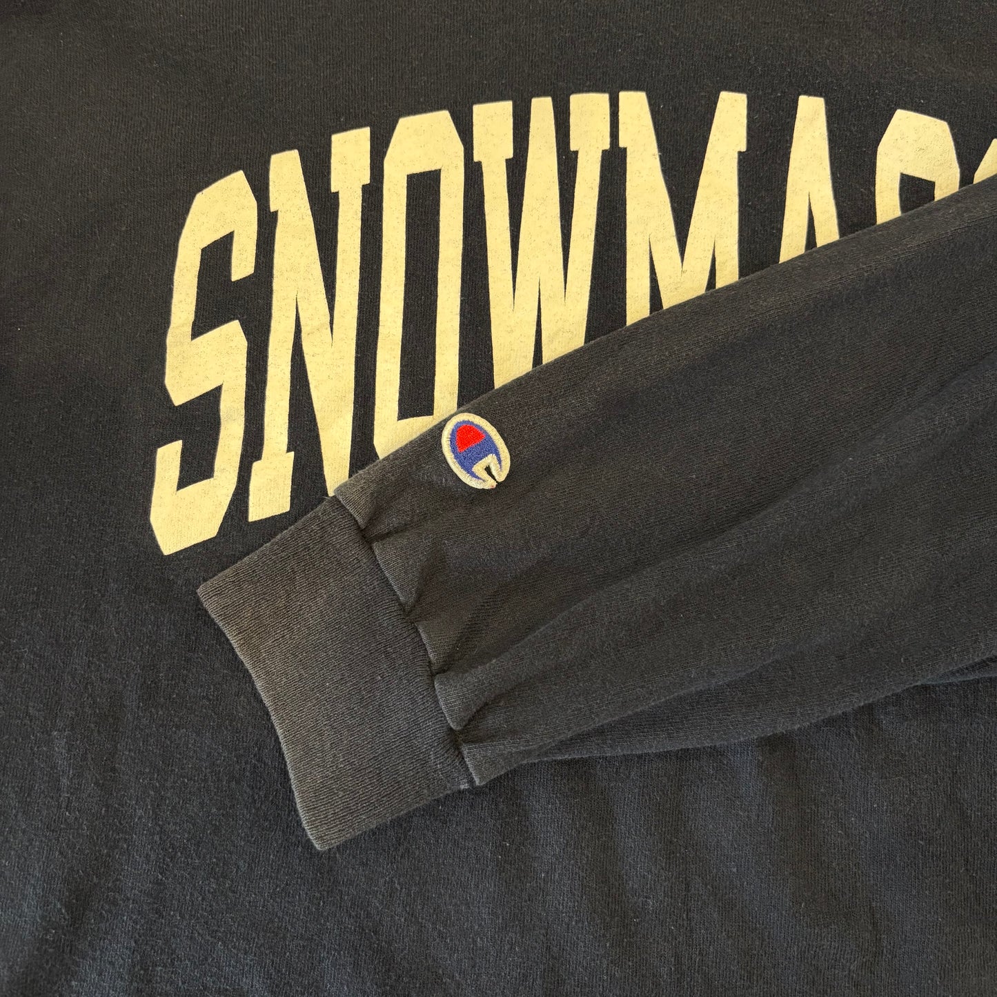 90's Champion SNOWMASS プリント ロンT ネイビー (2XL)/A7124T-SO
