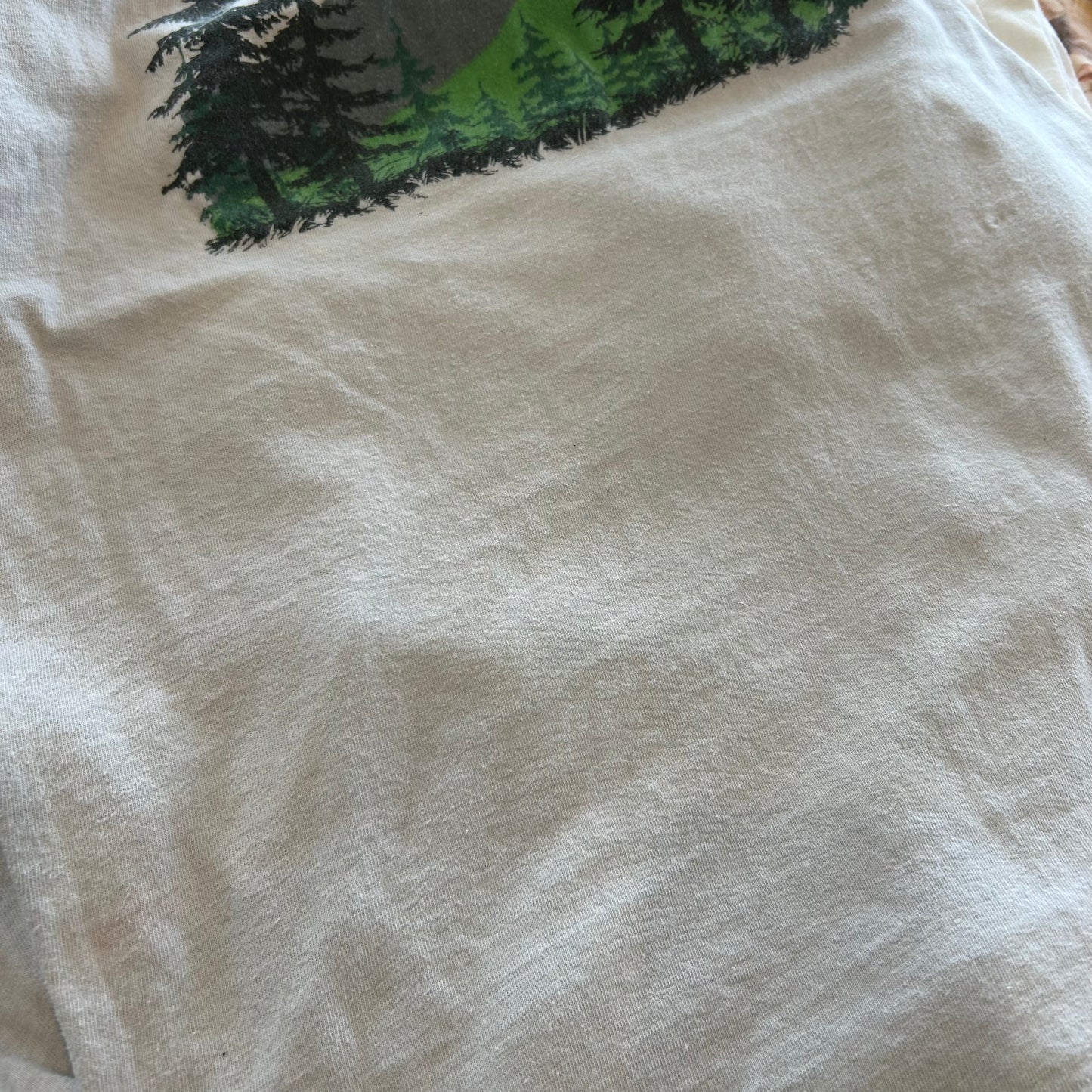 90's "RIDGCREST" L/S T-shirt ロンT 袖プリント(M)/A6380T-SO