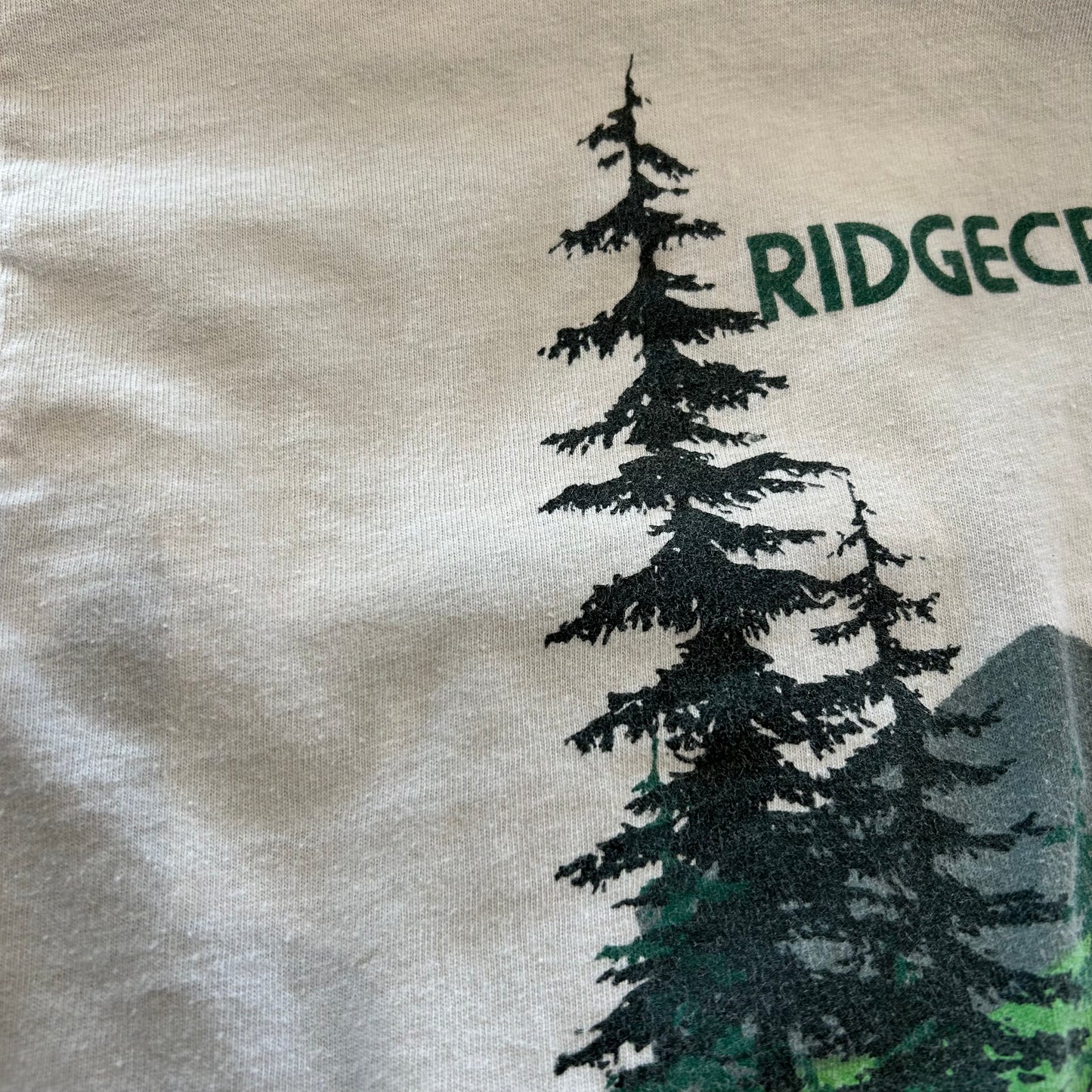 90's "RIDGCREST" L/S T-shirt ロンT 袖プリント(M)/A6380T-SO