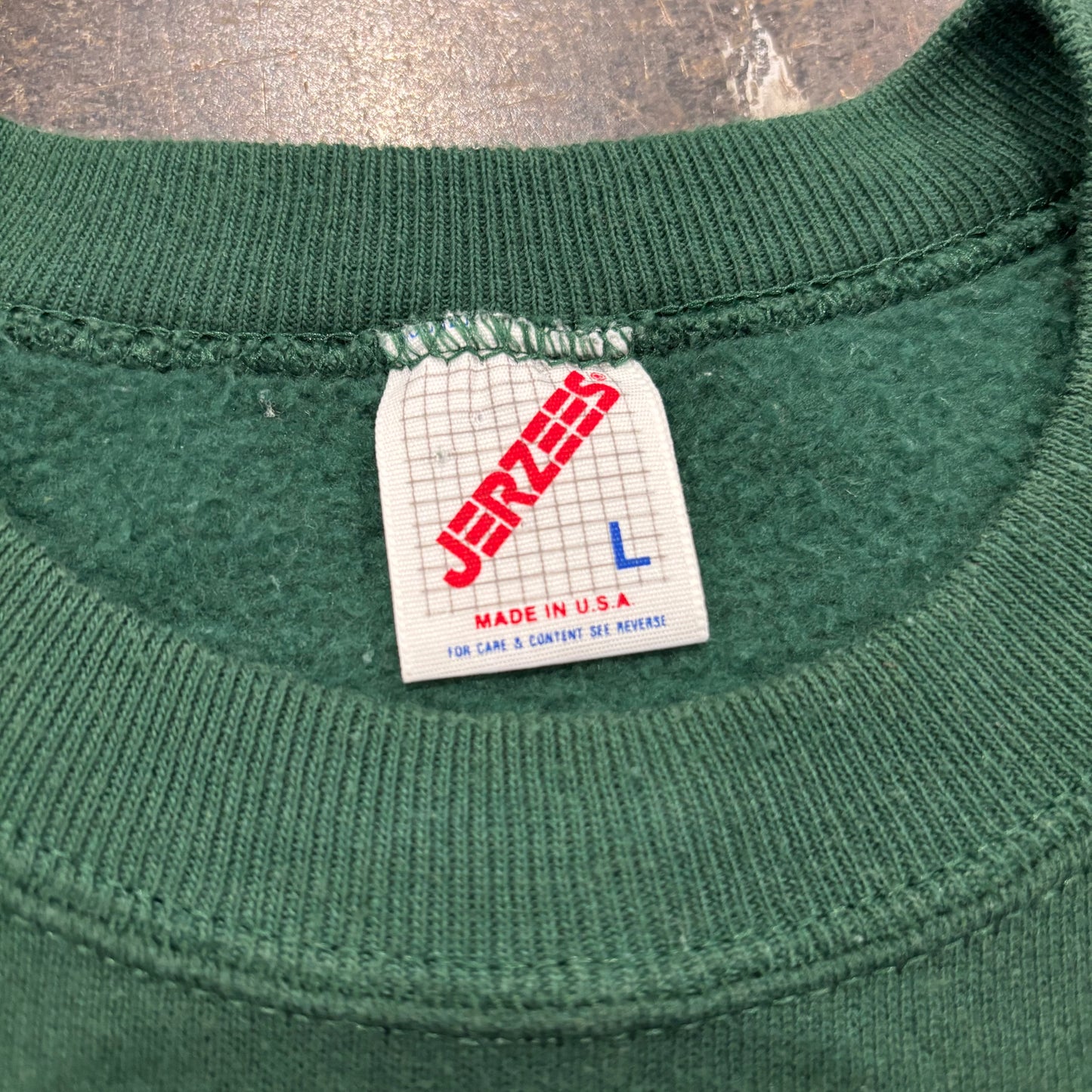 90's JERZEES ルーニー・テューンズ ”TWEETY” キャラクタースウェット (L)/B0541S-SO