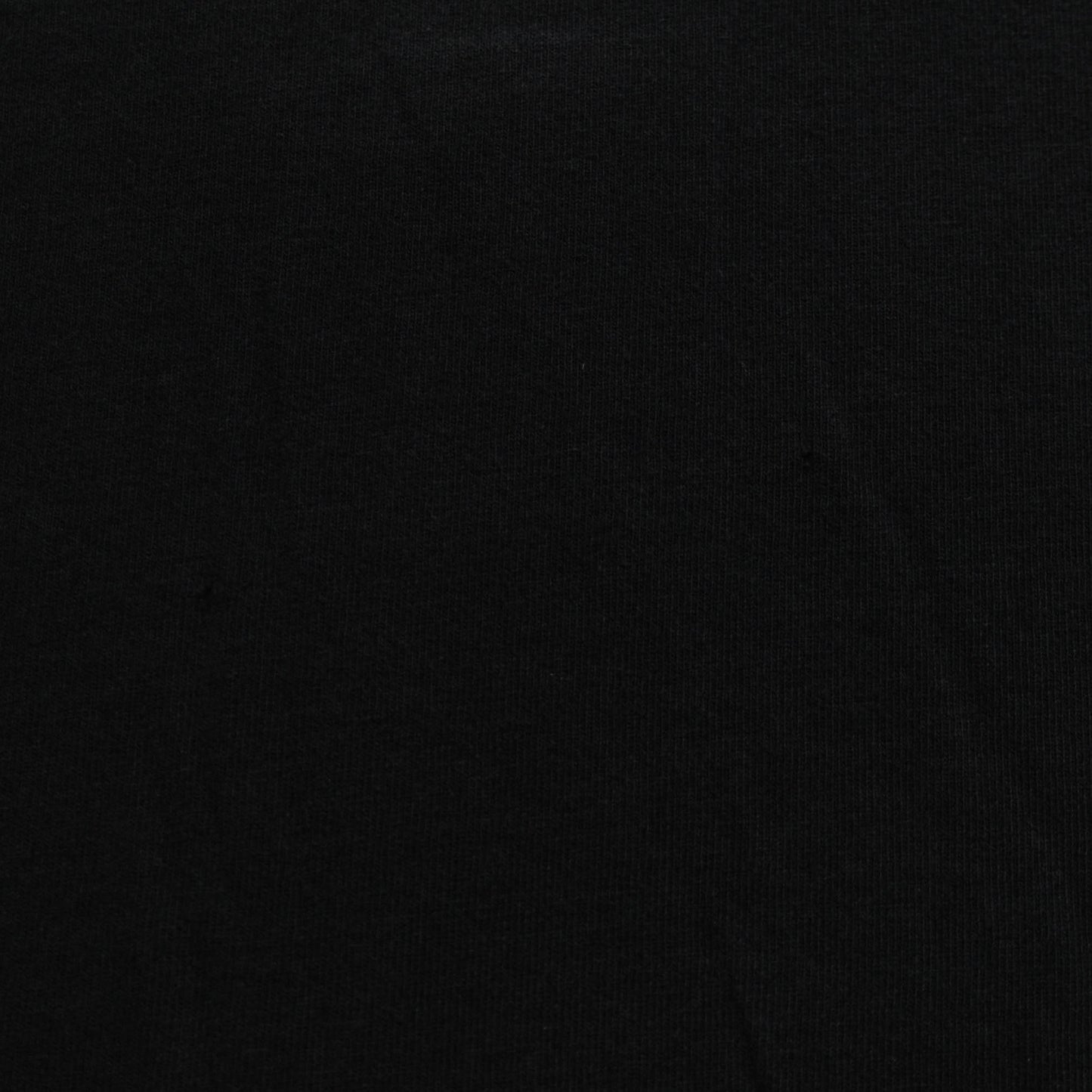 00's RAMONES Tシャツ (M)/A2748T
