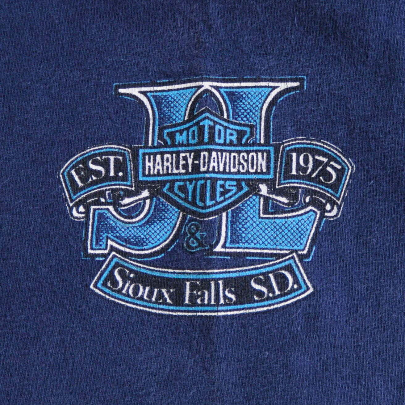90's Harley Davidson ハーレー PROUD&FEARLESS 狼イーグルTシャツ 青(M)/A3923T-SO